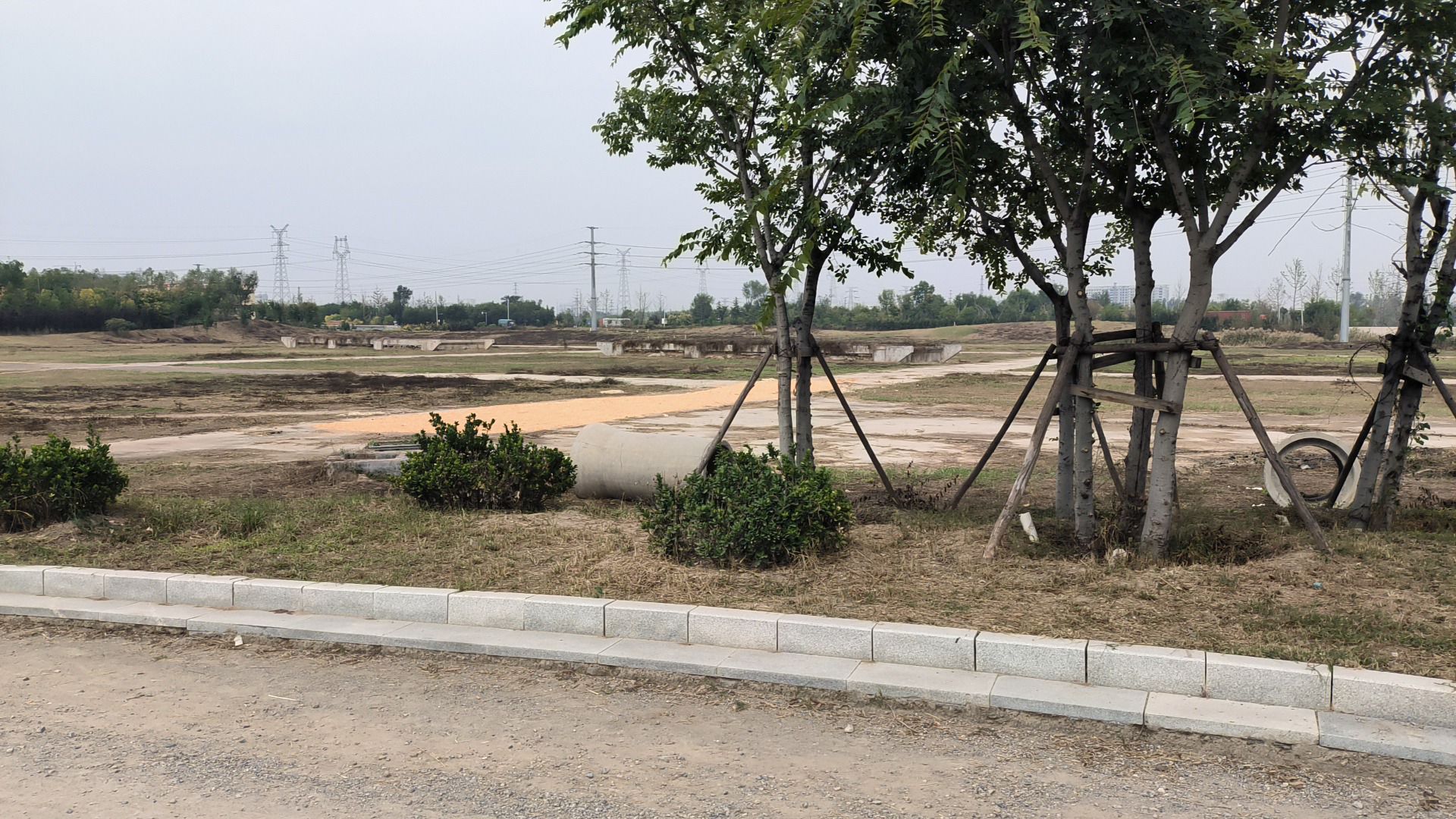 临邑县凤鸣湖湿地公园旅行图片 1