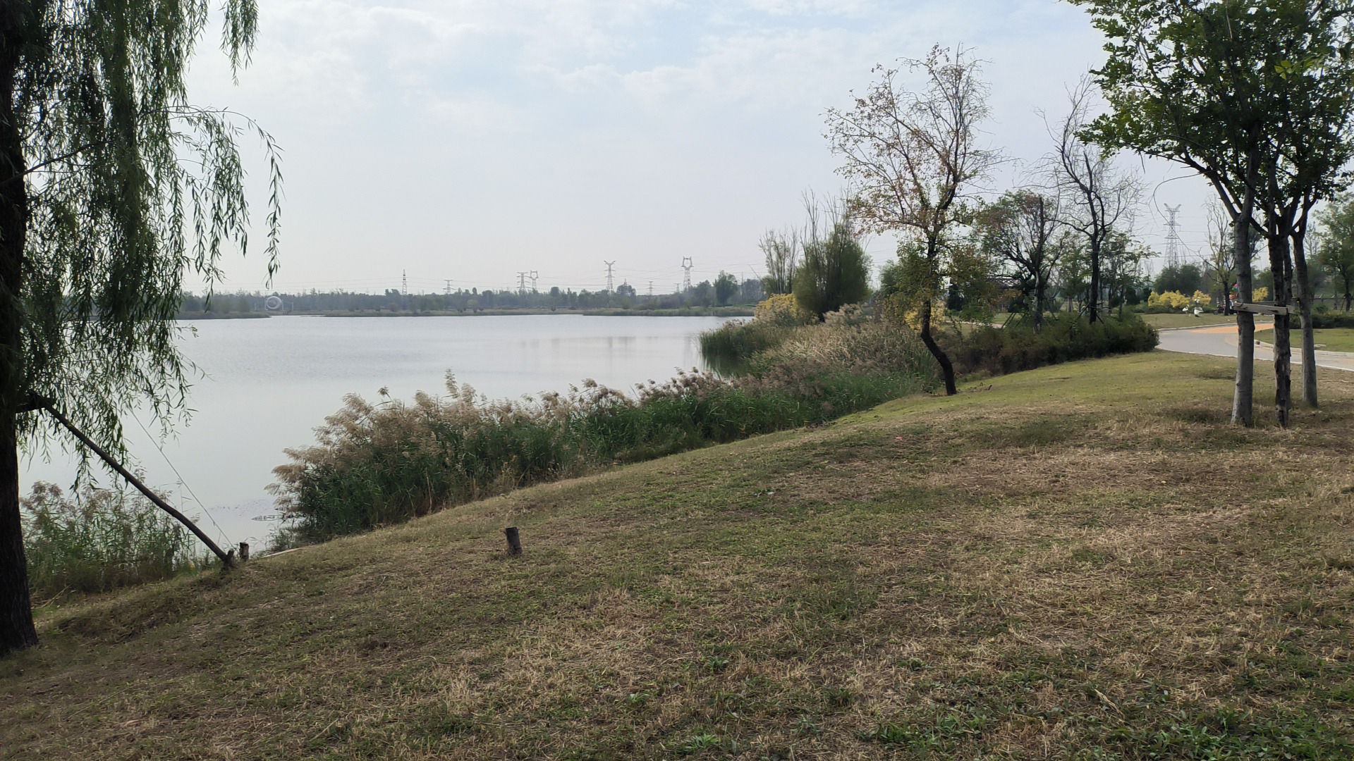 临邑县凤鸣湖湿地公园旅行图片 3