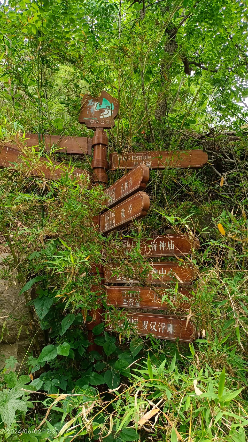 石湾森林公园旅行图片 1