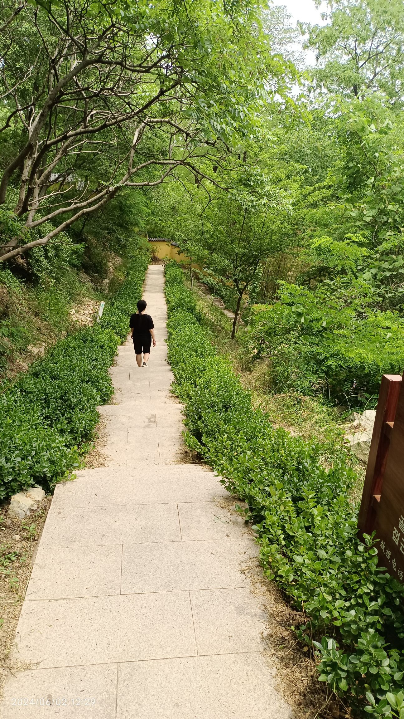 石湾森林公园旅行图片 2