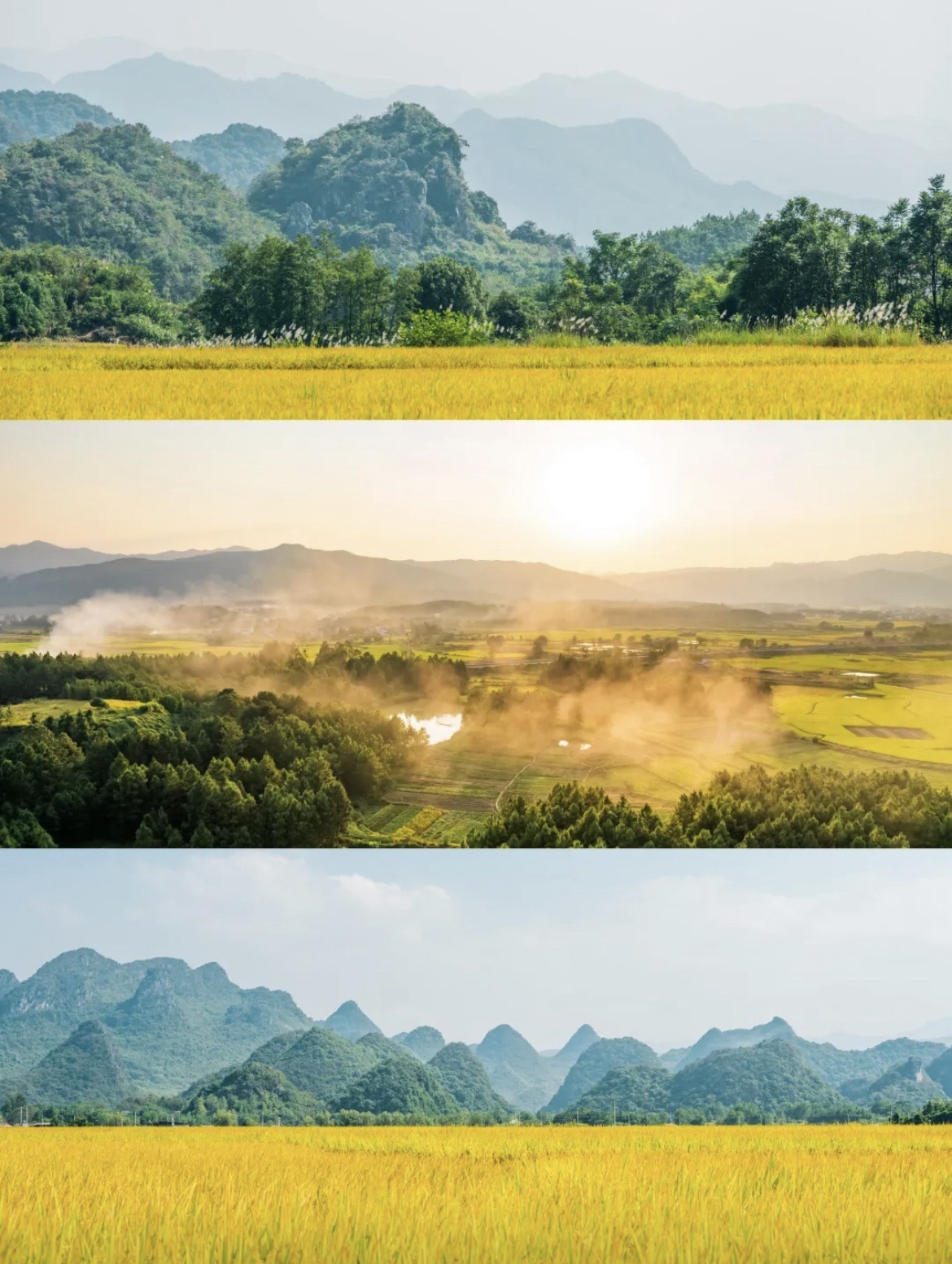 十里画廊观景台旅行图片 1