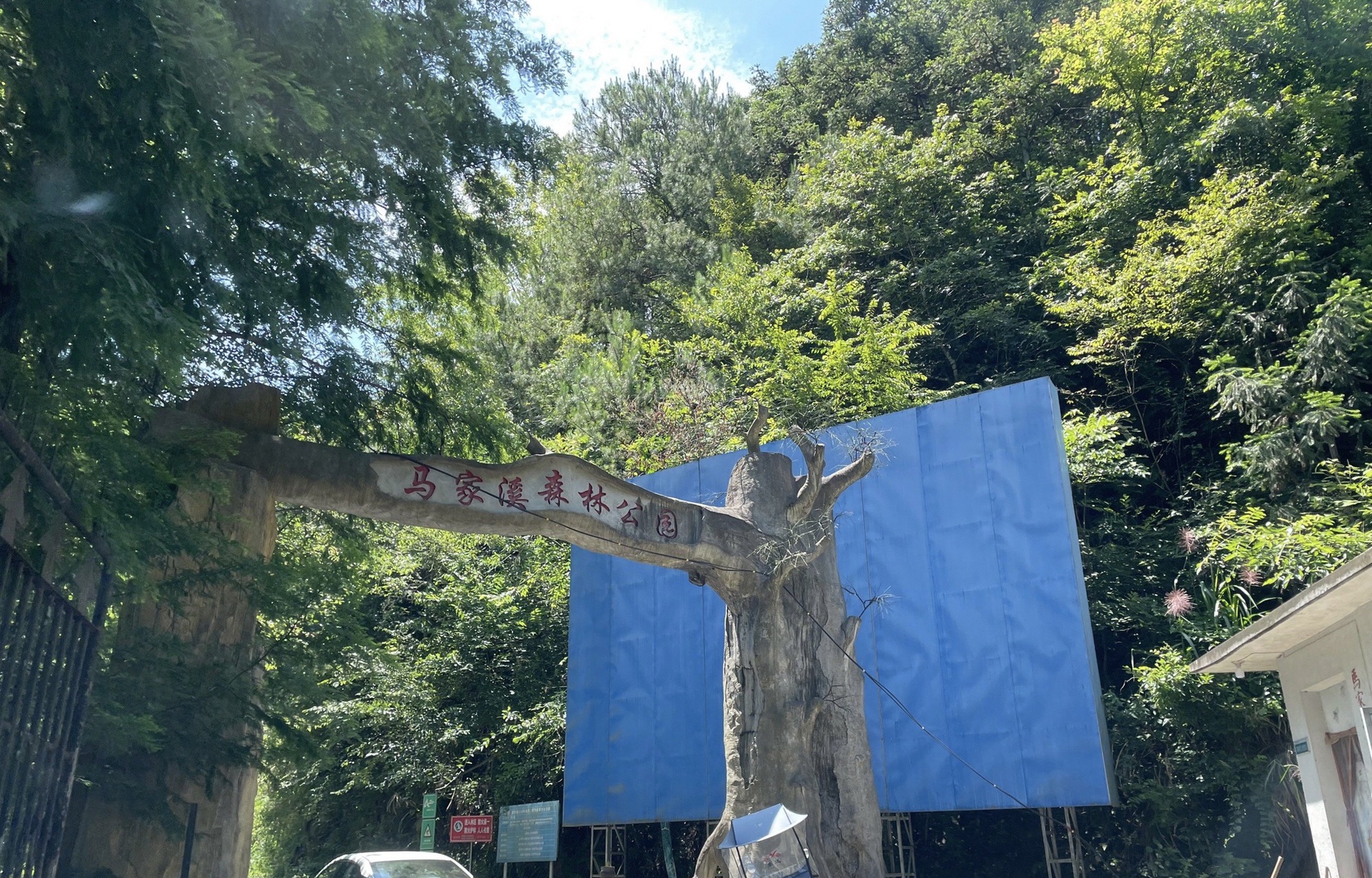 马家溪森林公园(暂停开放)旅行图片 1