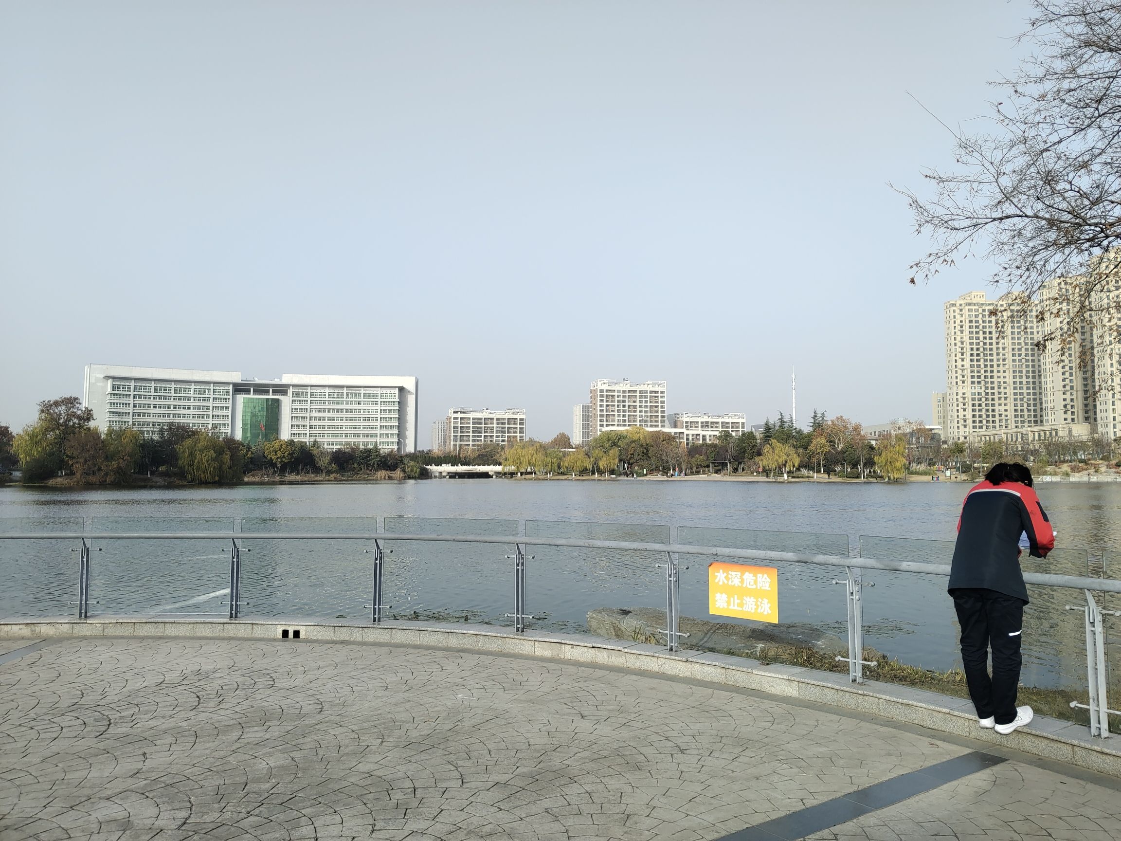 九龙湖东岸旅行图片 1