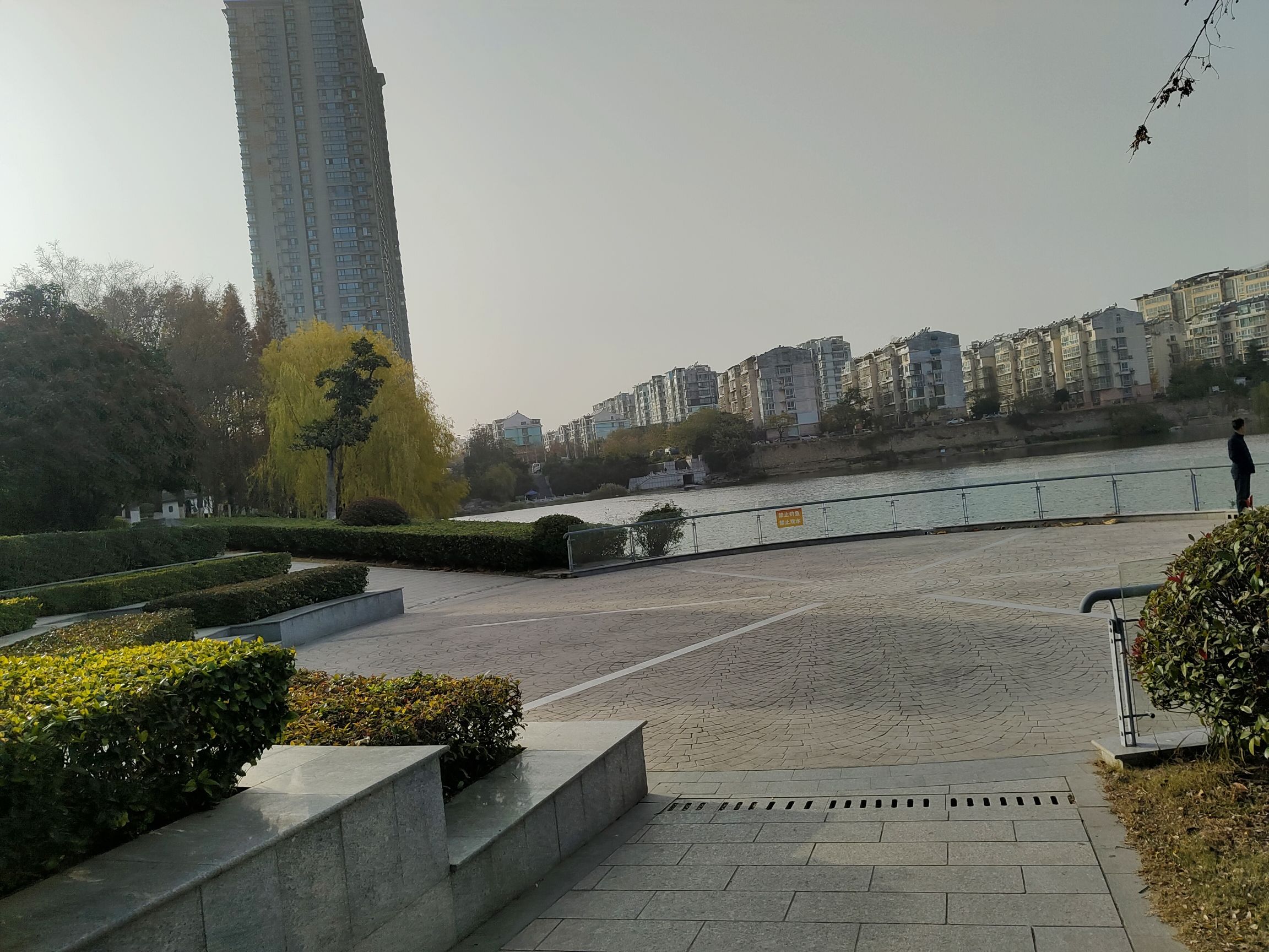九龙湖东岸旅行图片 2
