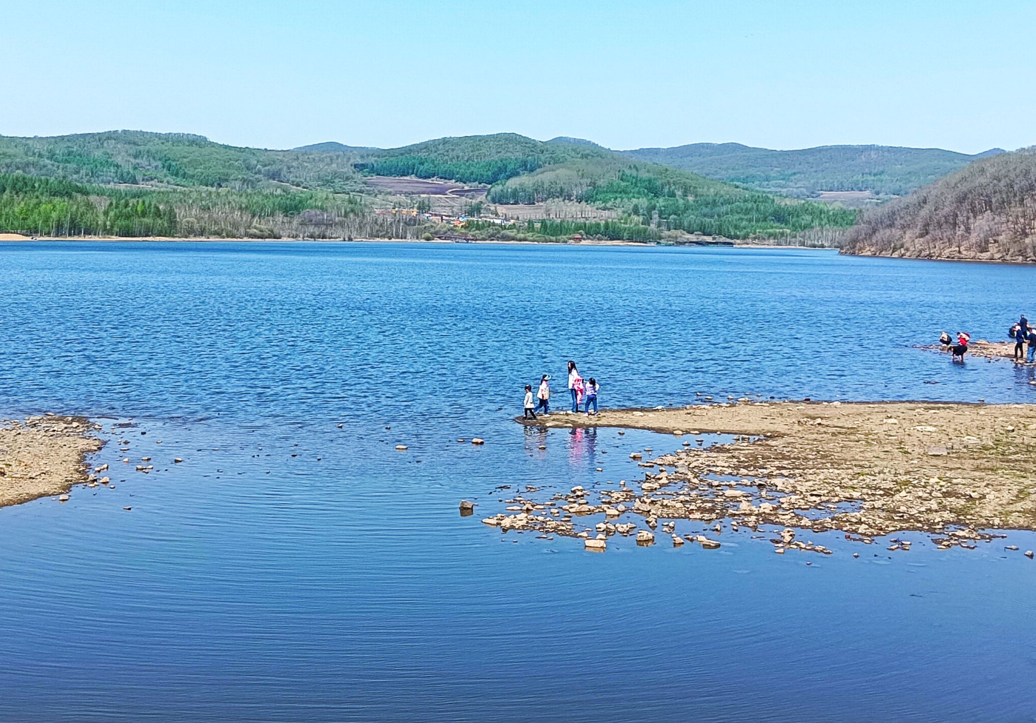 白桦林湿地旅行图片 1