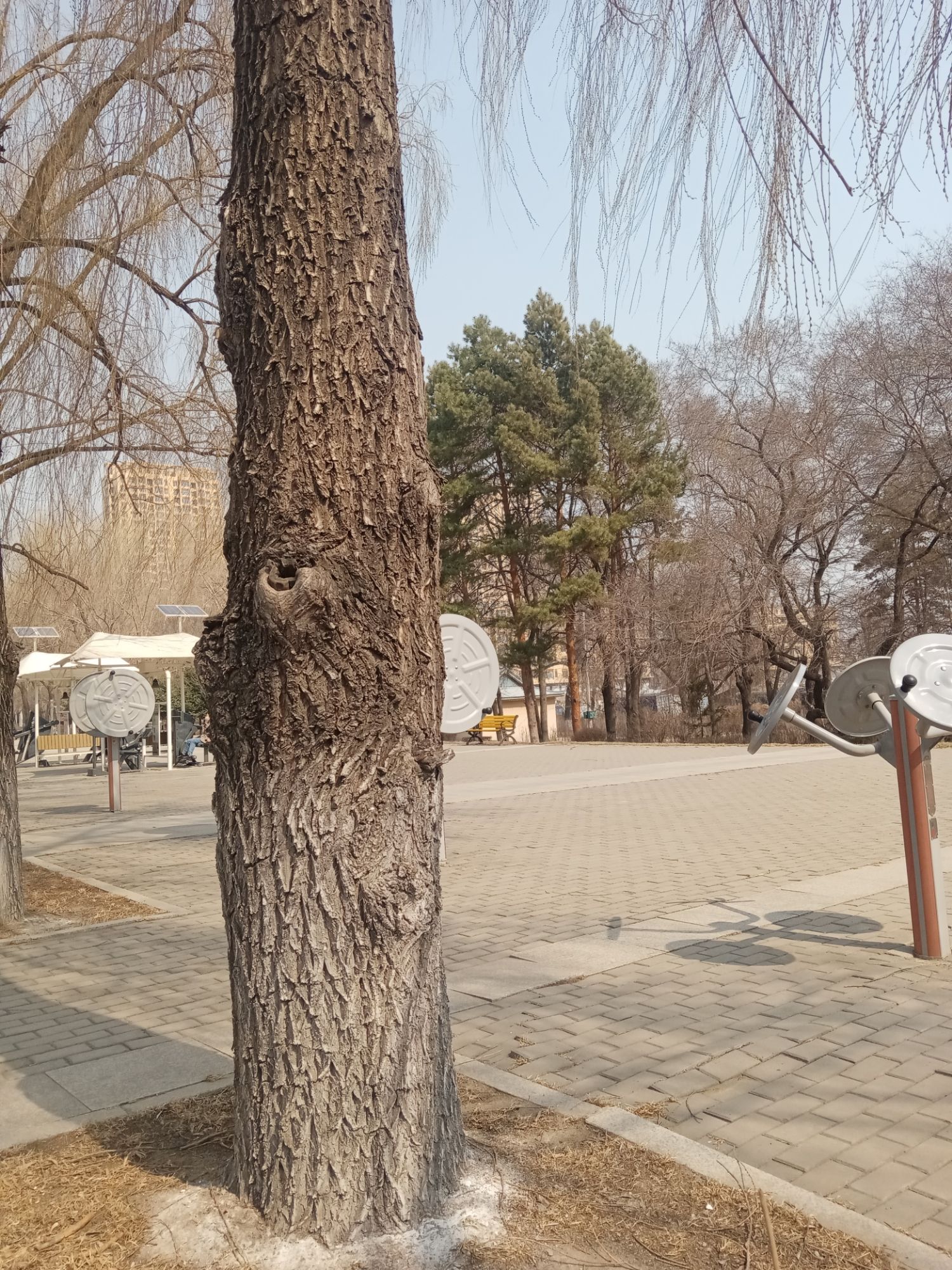 历史文化公园旅行图片 3