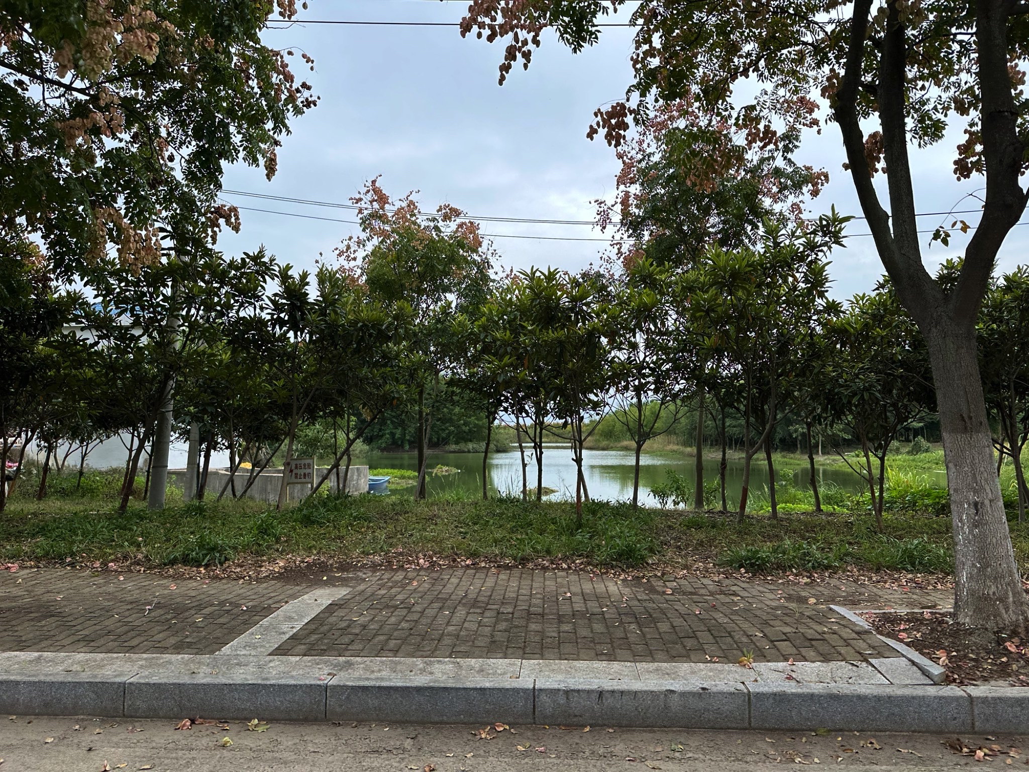 建湖县植物园旅行图片 1