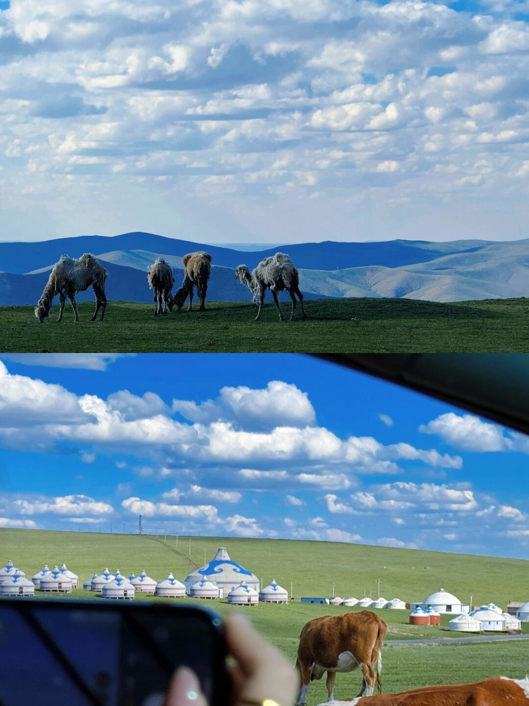红石崖国家生态公园旅行图片 1