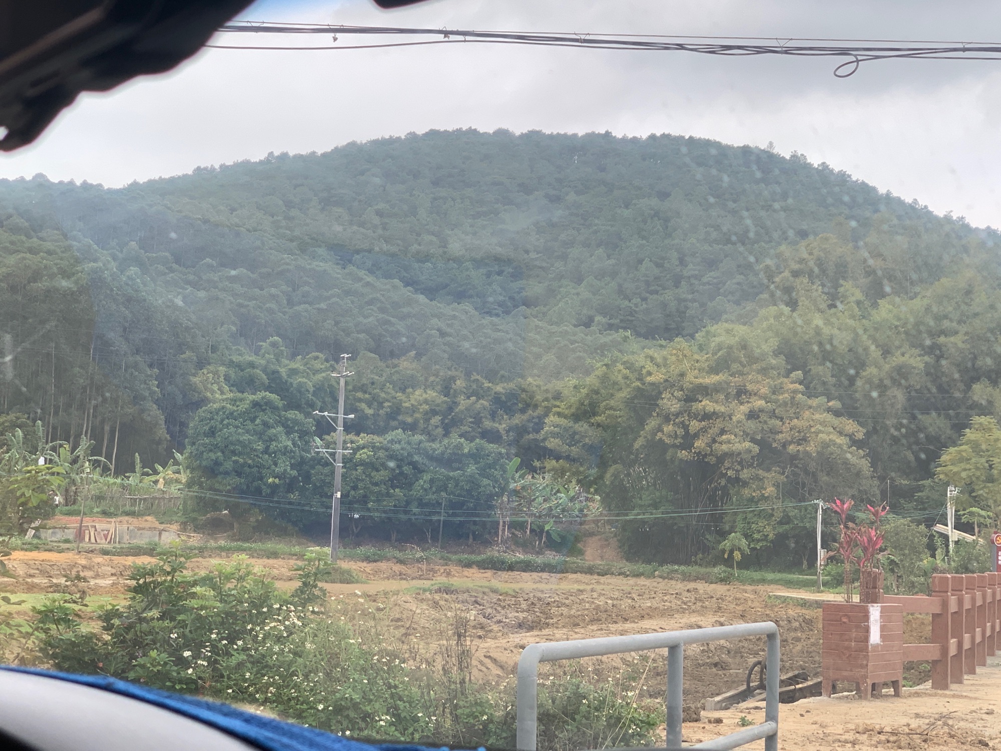 明城郁金香公园旅行图片 1