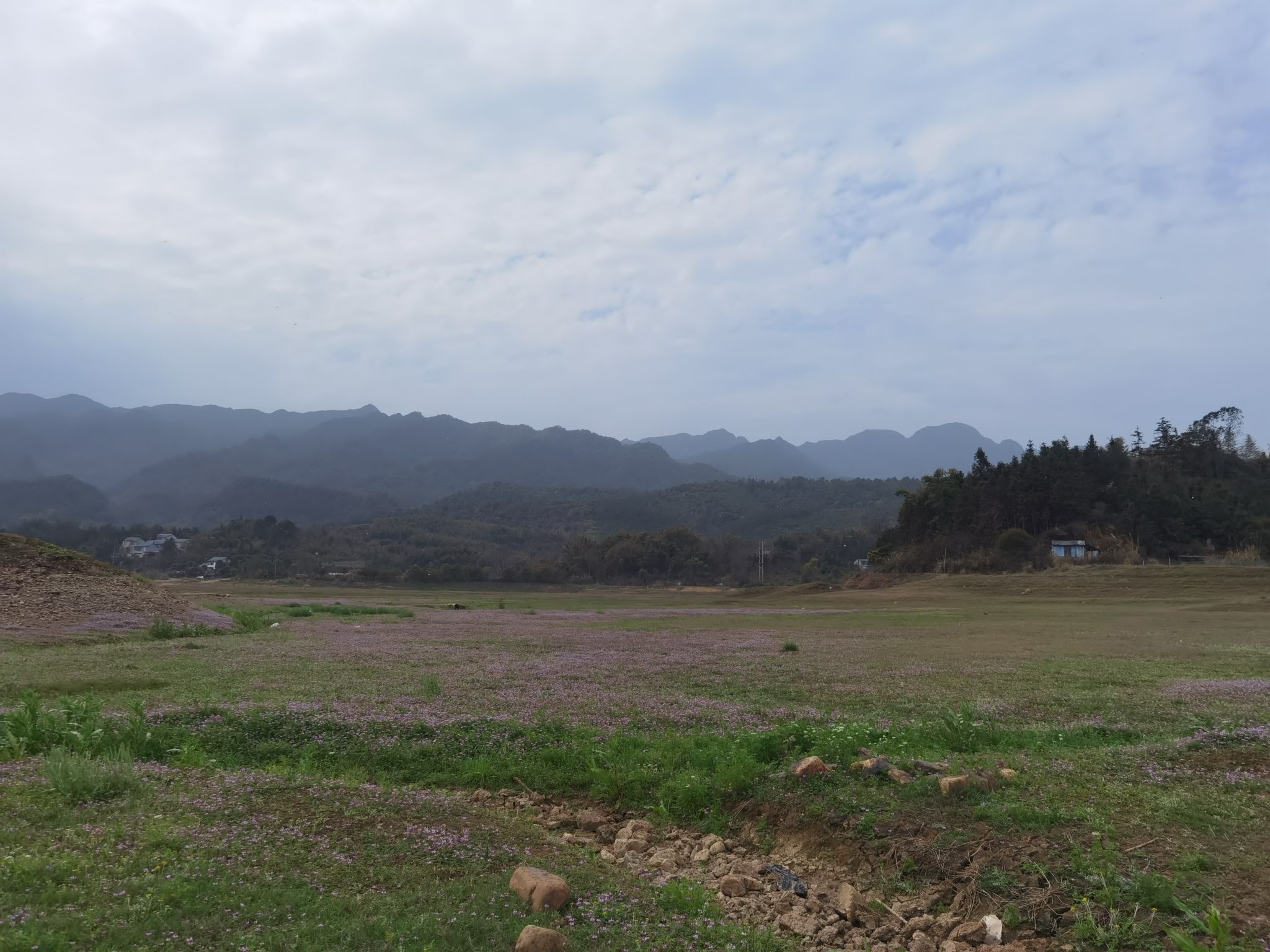 花海世界旅行图片 2