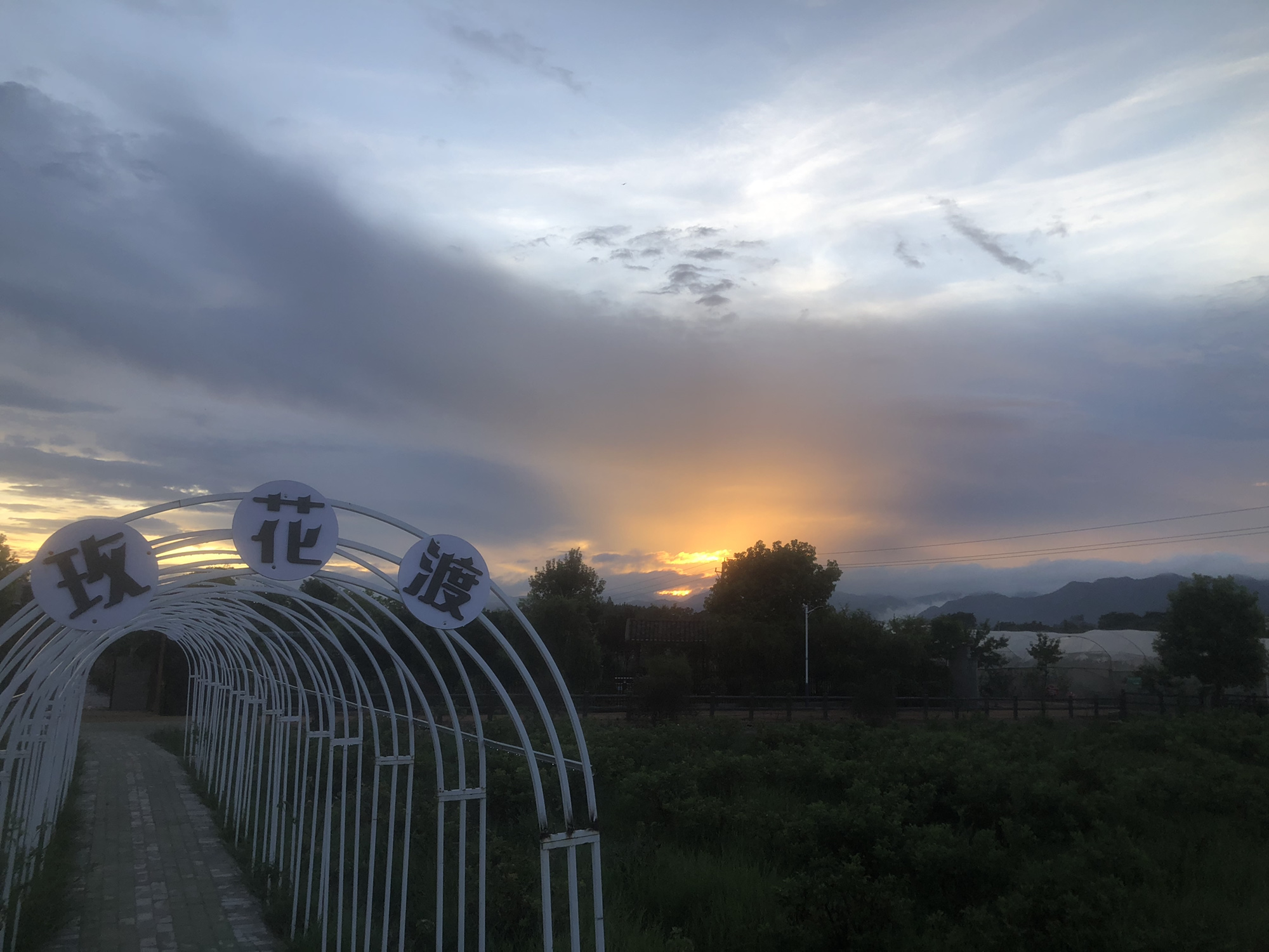 玫花渡旅行图片 2