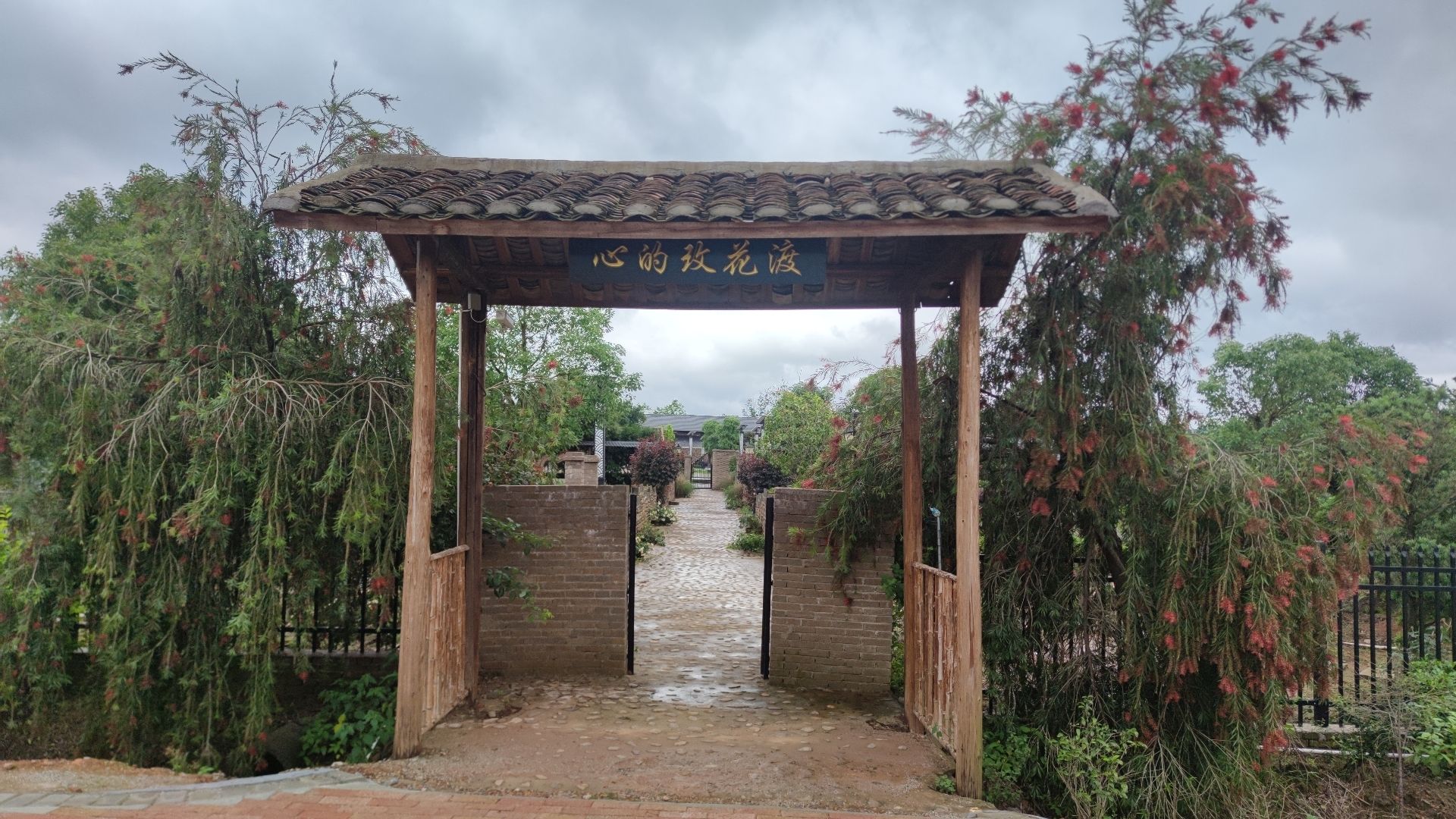 玫花渡旅行图片 3