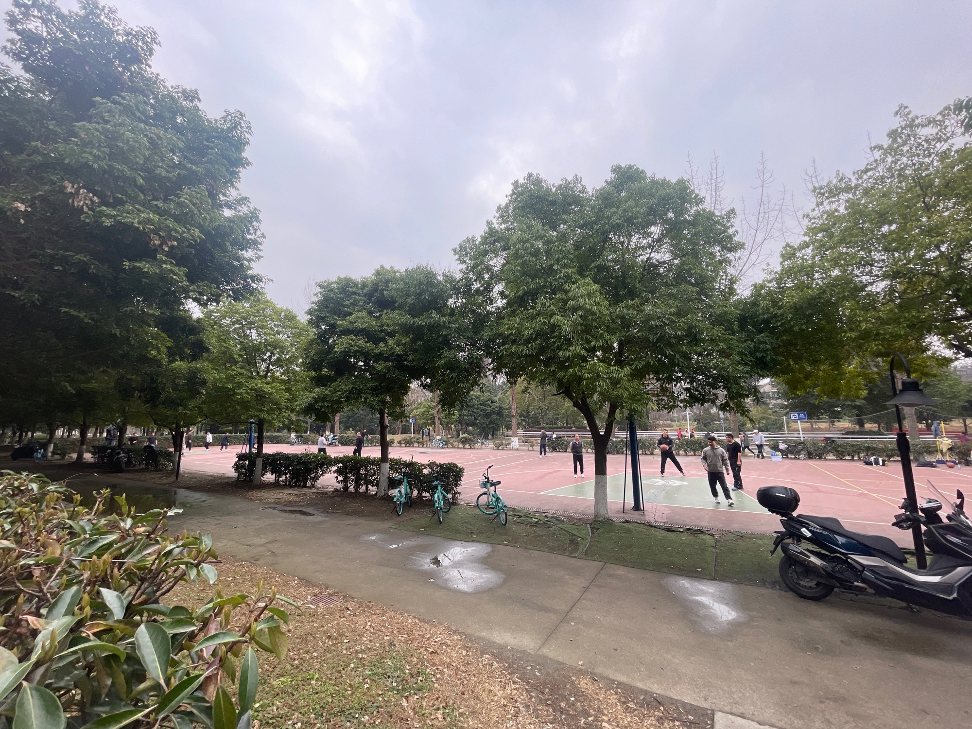 场地封面-中海体育公园-篮球场