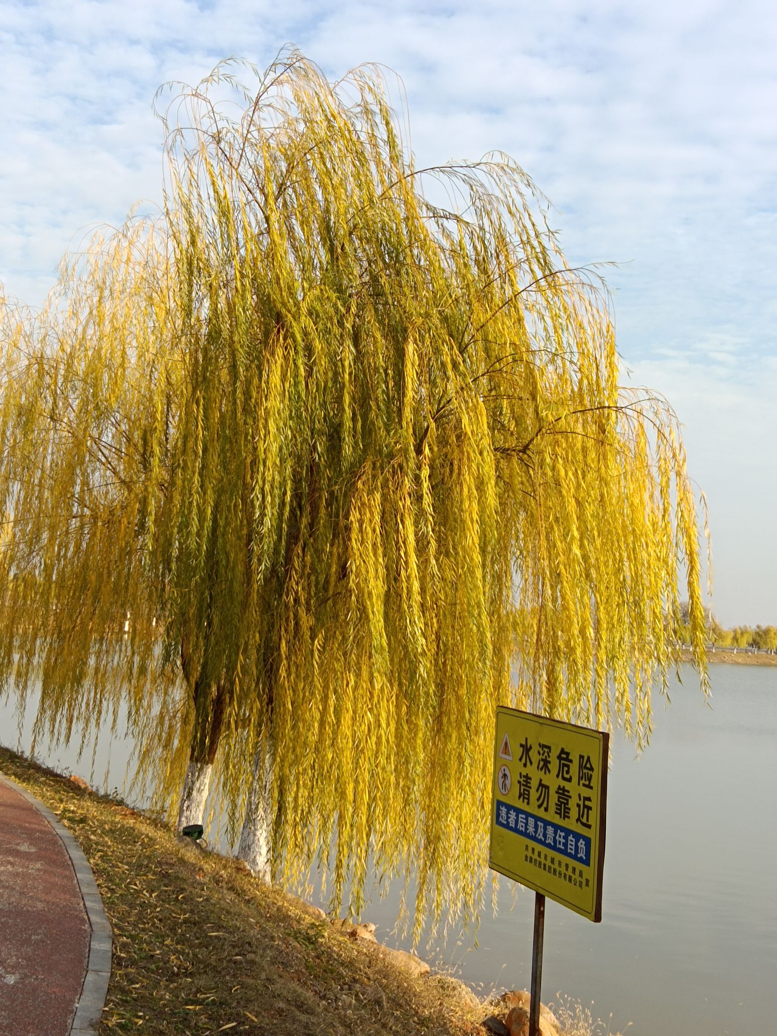 北岸公园旅行图片 1