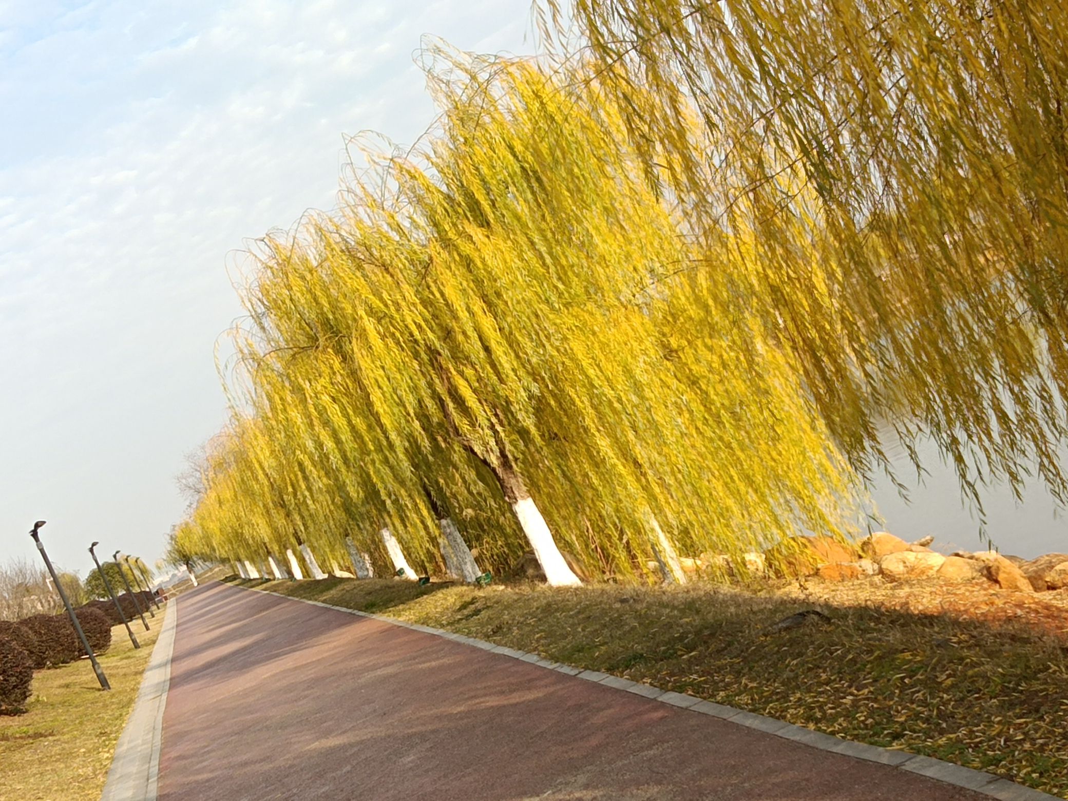 北岸公园旅行图片 2