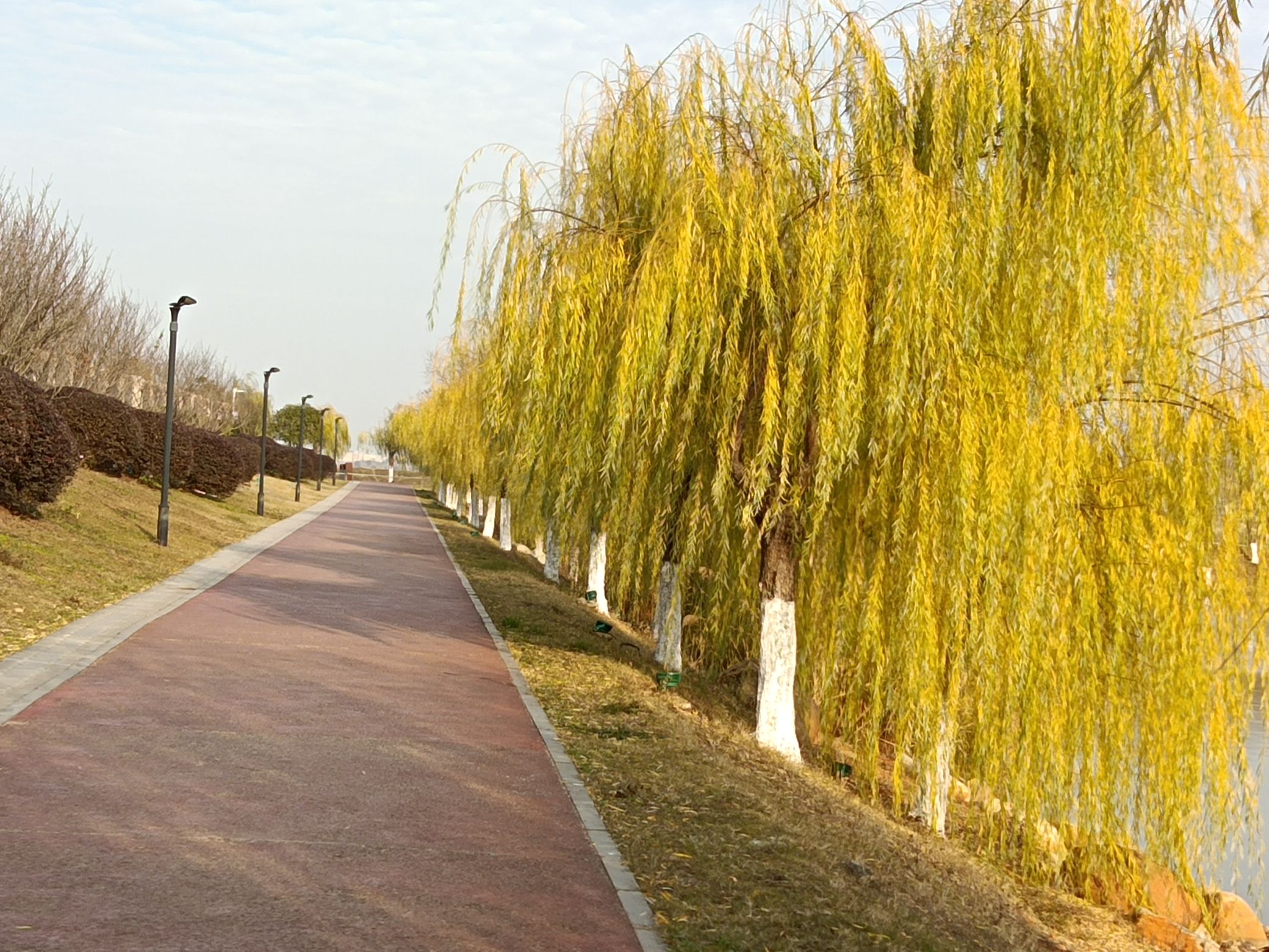北岸公园旅行图片 3