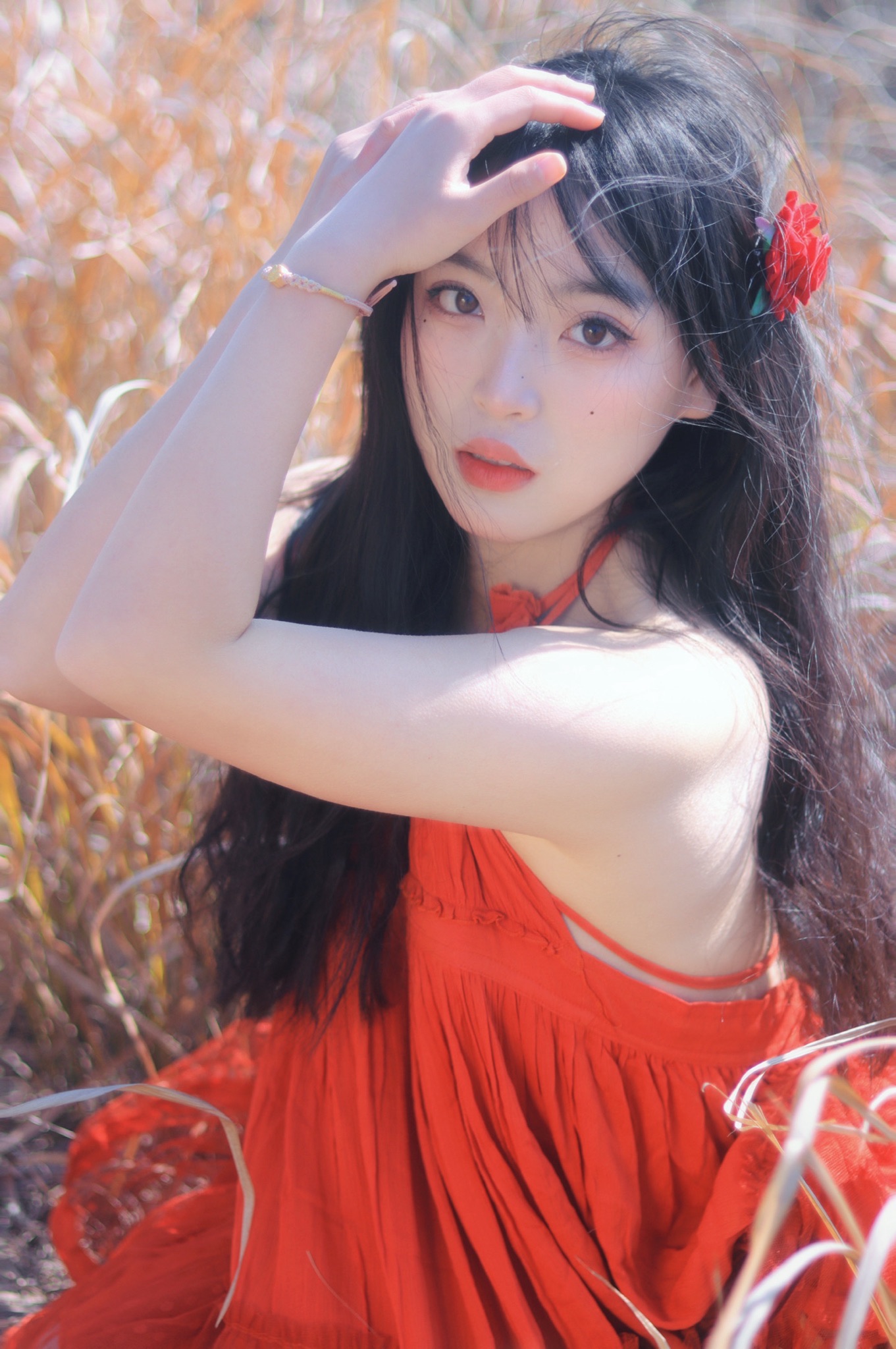 北岸公园旅行图片 1