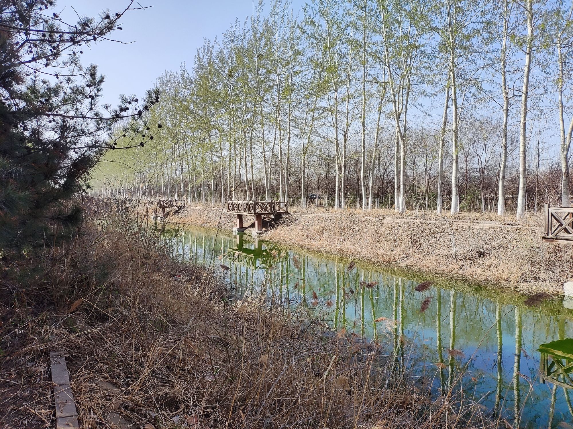 古新公园旅行图片 2