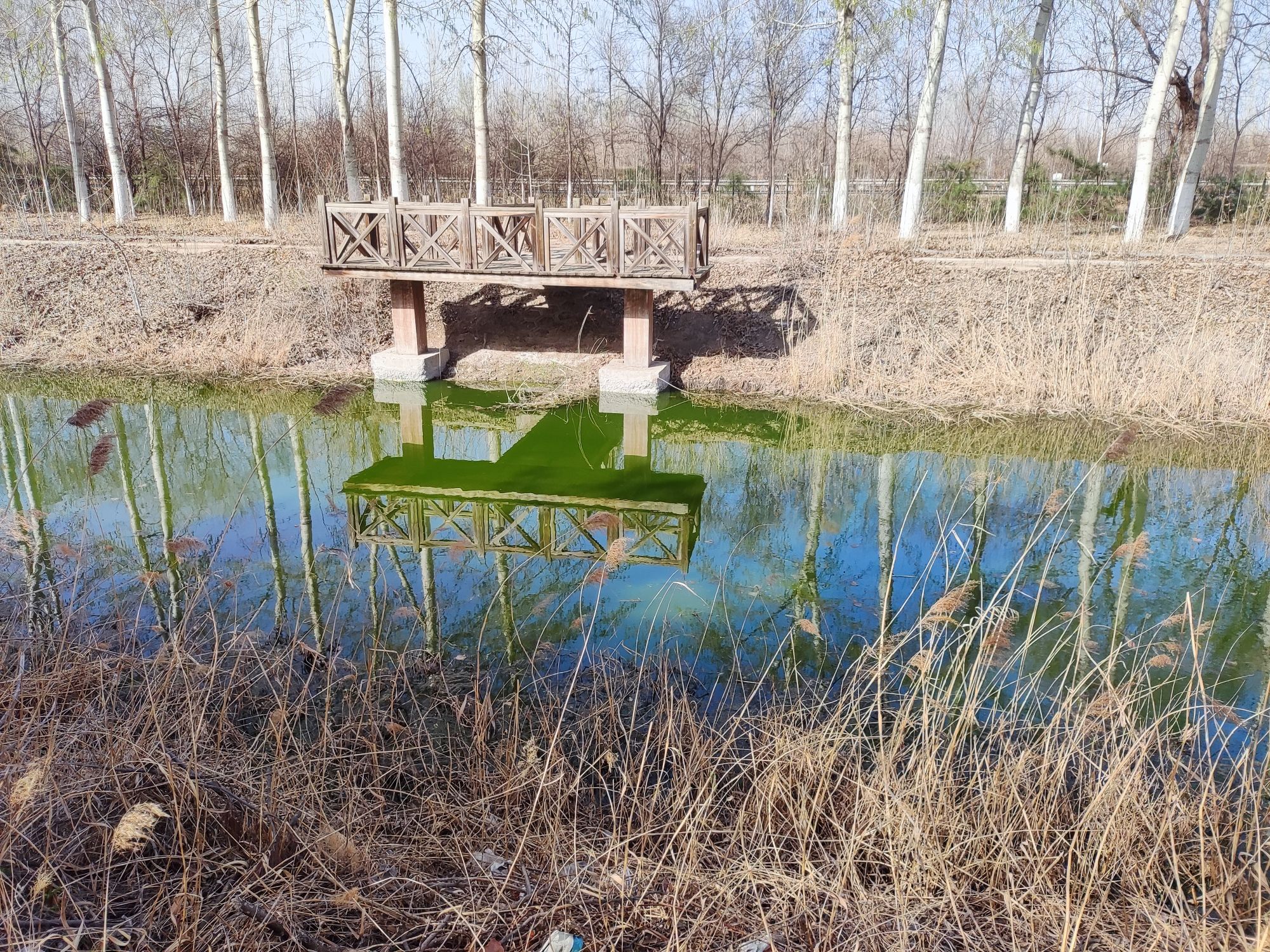 古新公园旅行图片 1