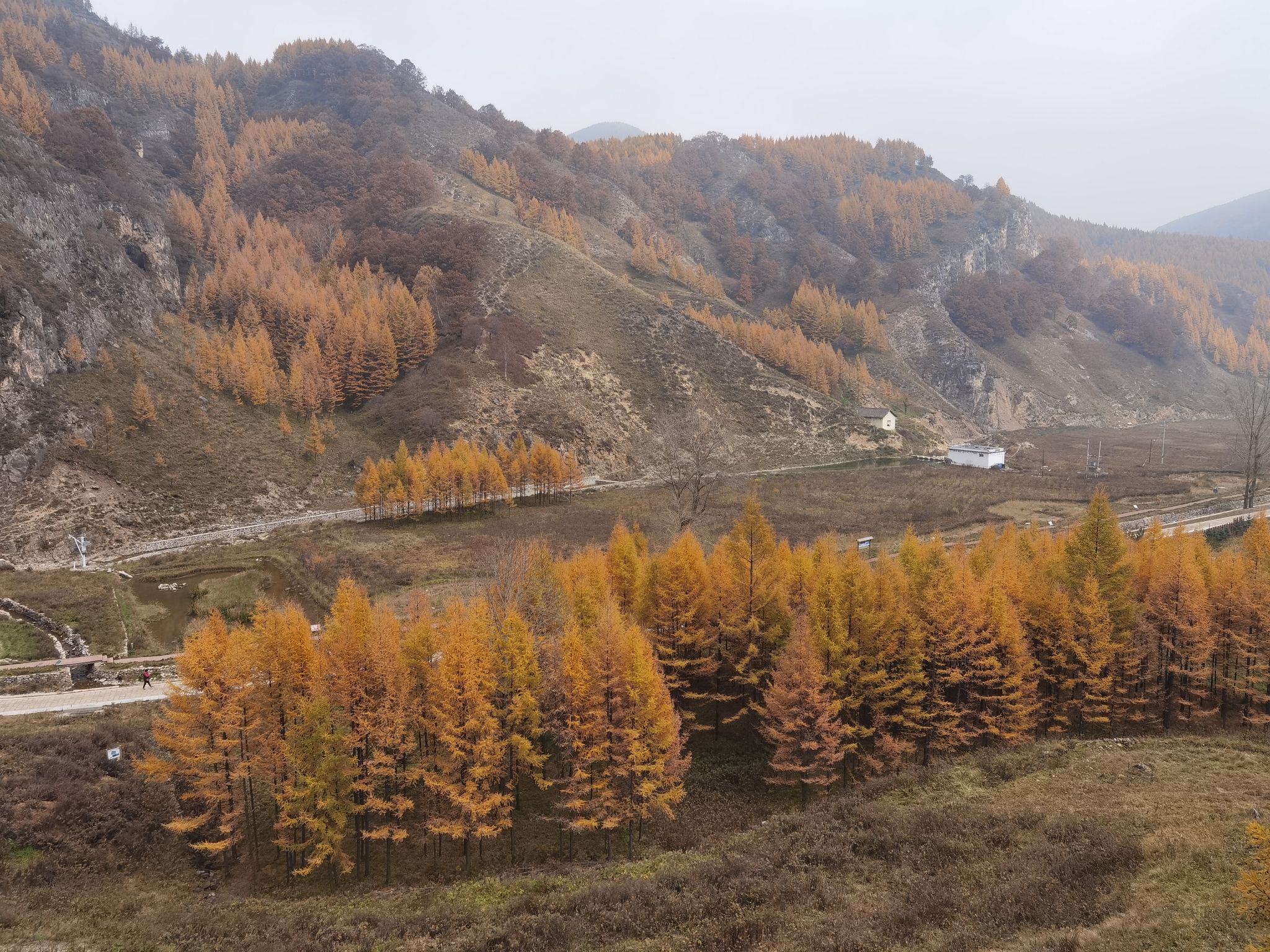 山西沁河源国家湿地公园旅行图片 2