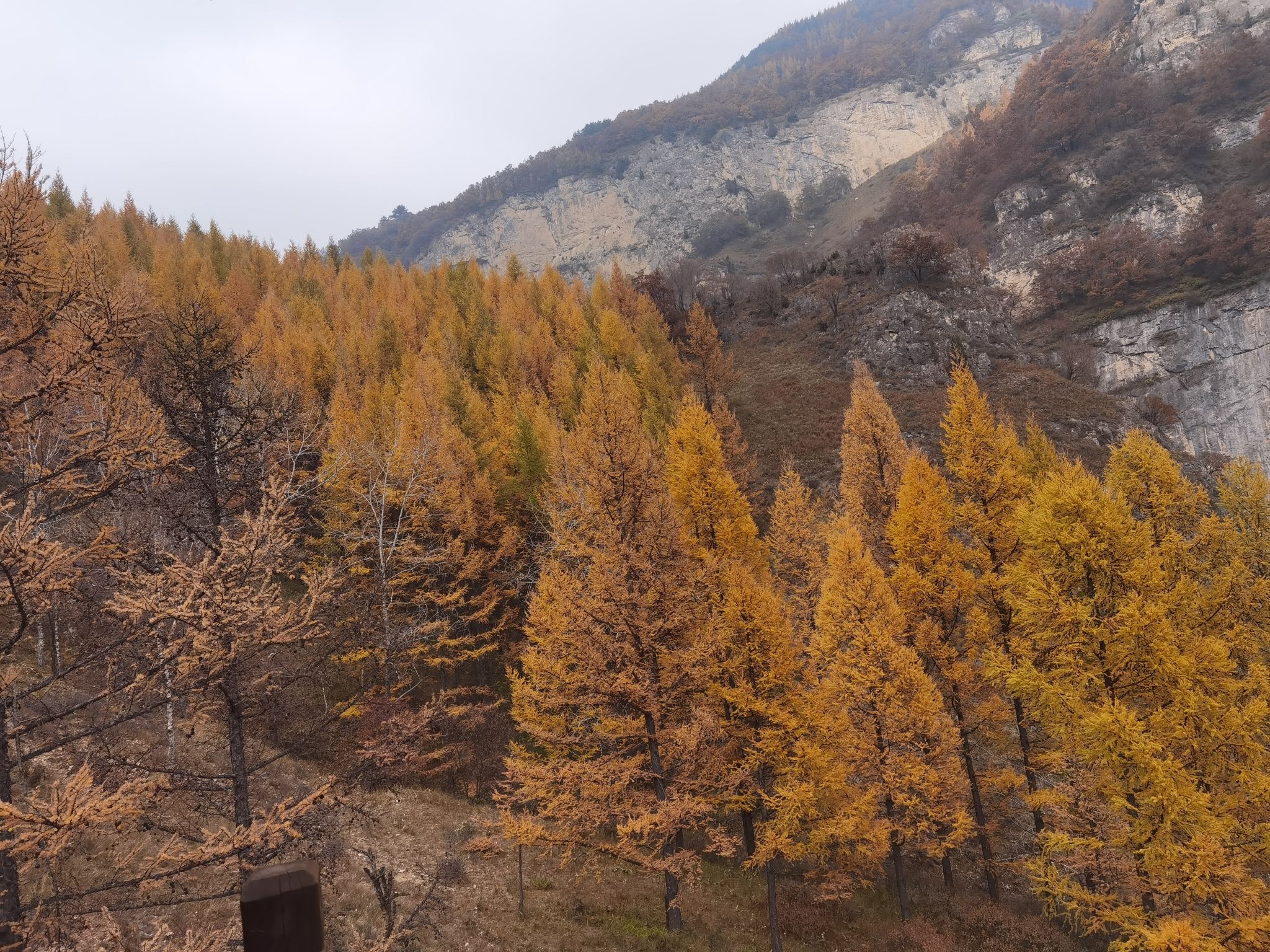 山西沁河源国家湿地公园旅行图片 3