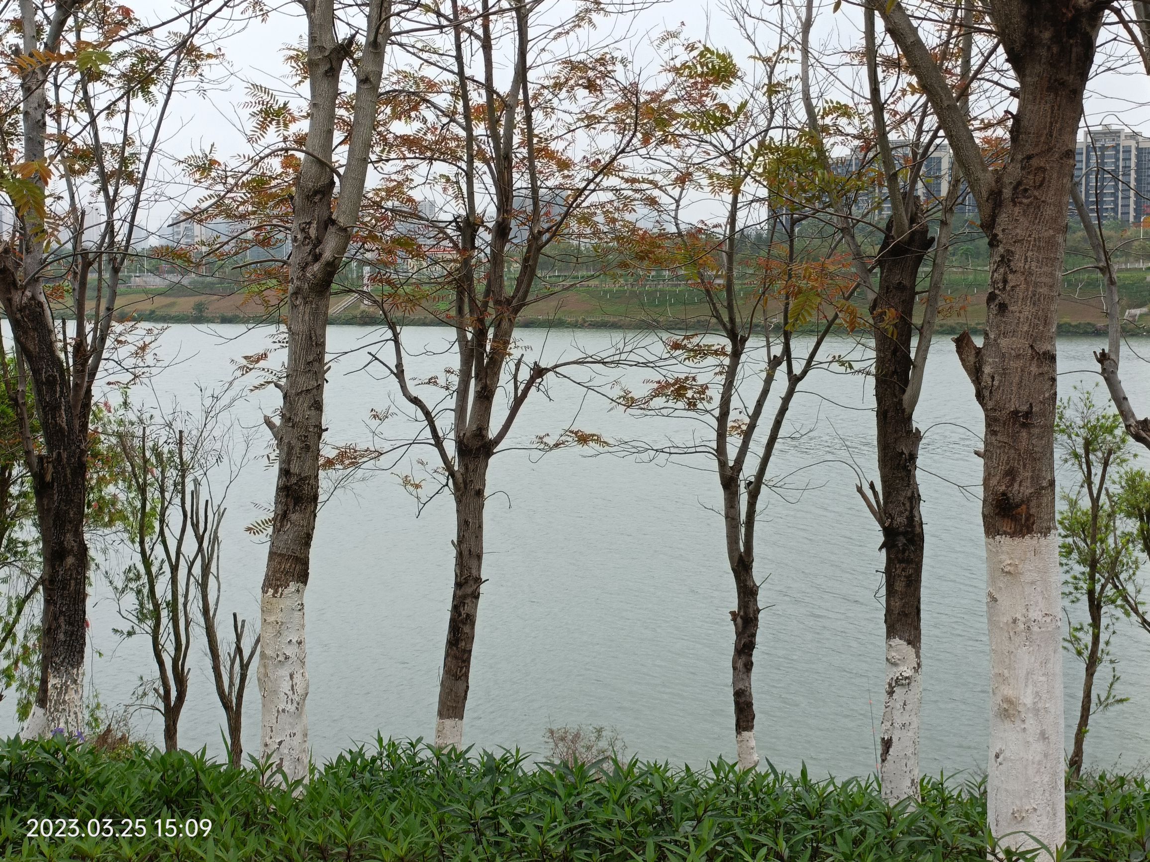 南宁市灵龟山景区旅行图片 1