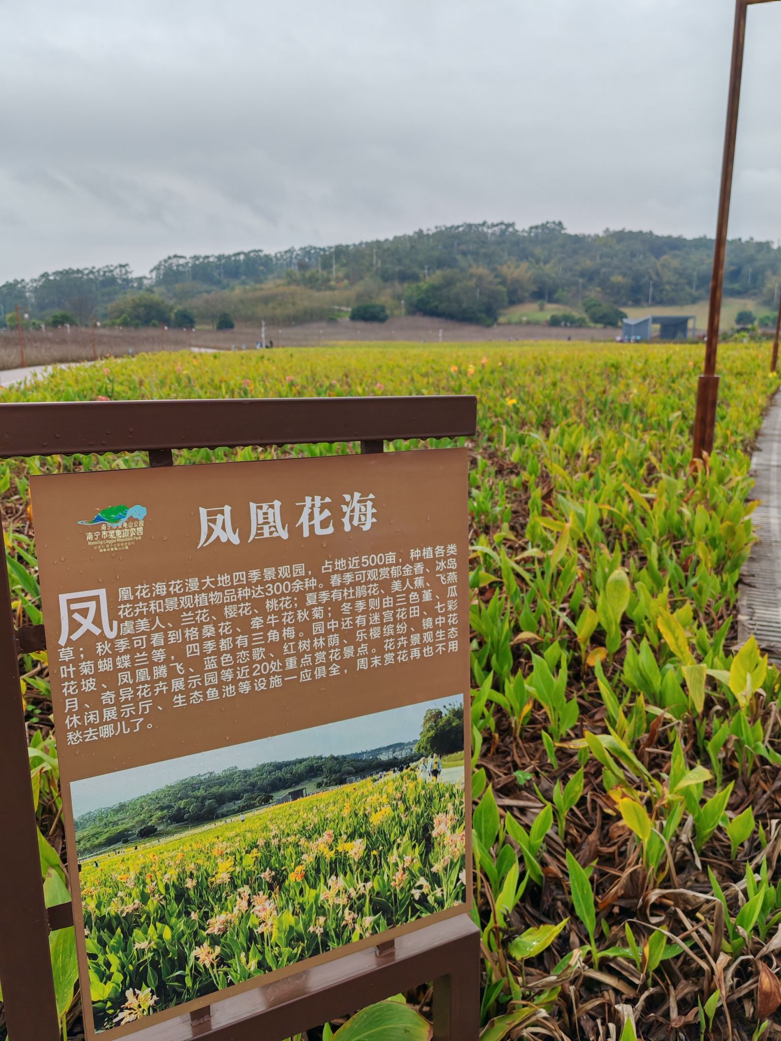 南宁市灵龟山景区旅行图片 2