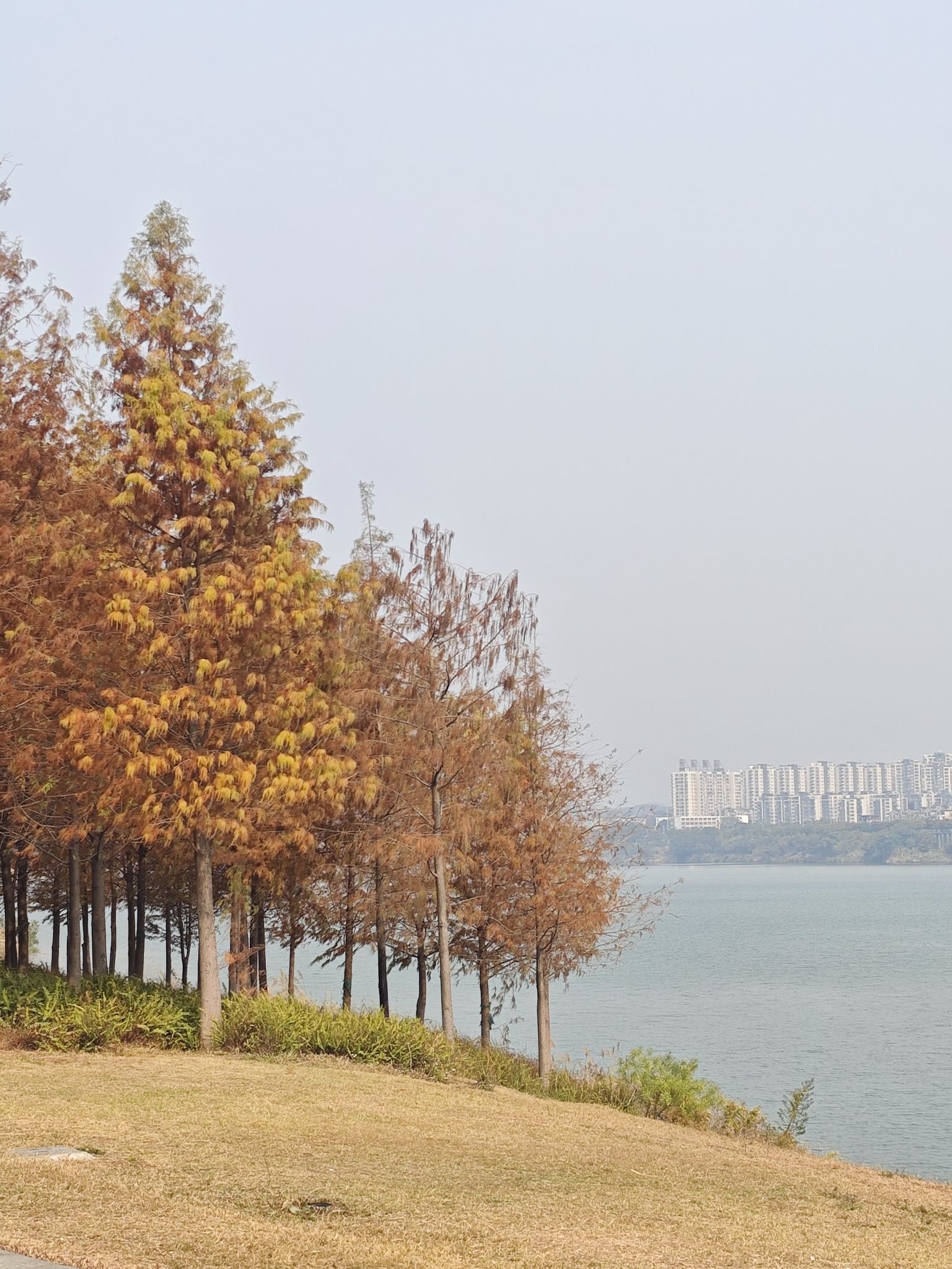 南宁市灵龟山景区旅行图片 2