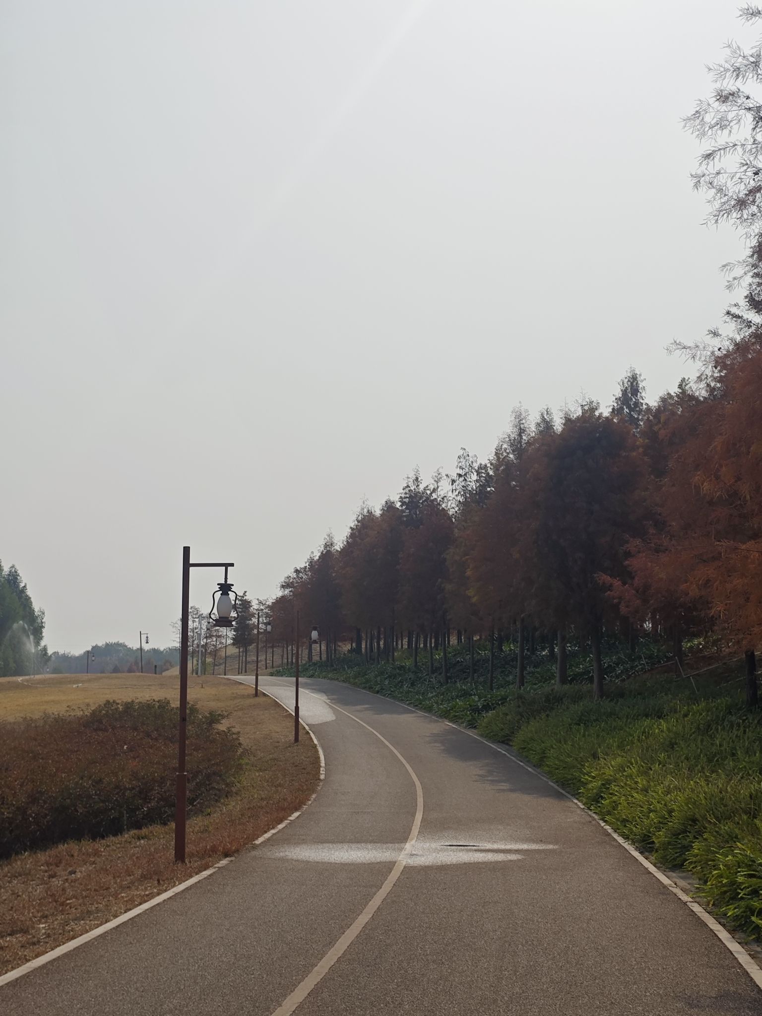 南宁市灵龟山景区旅行图片 3