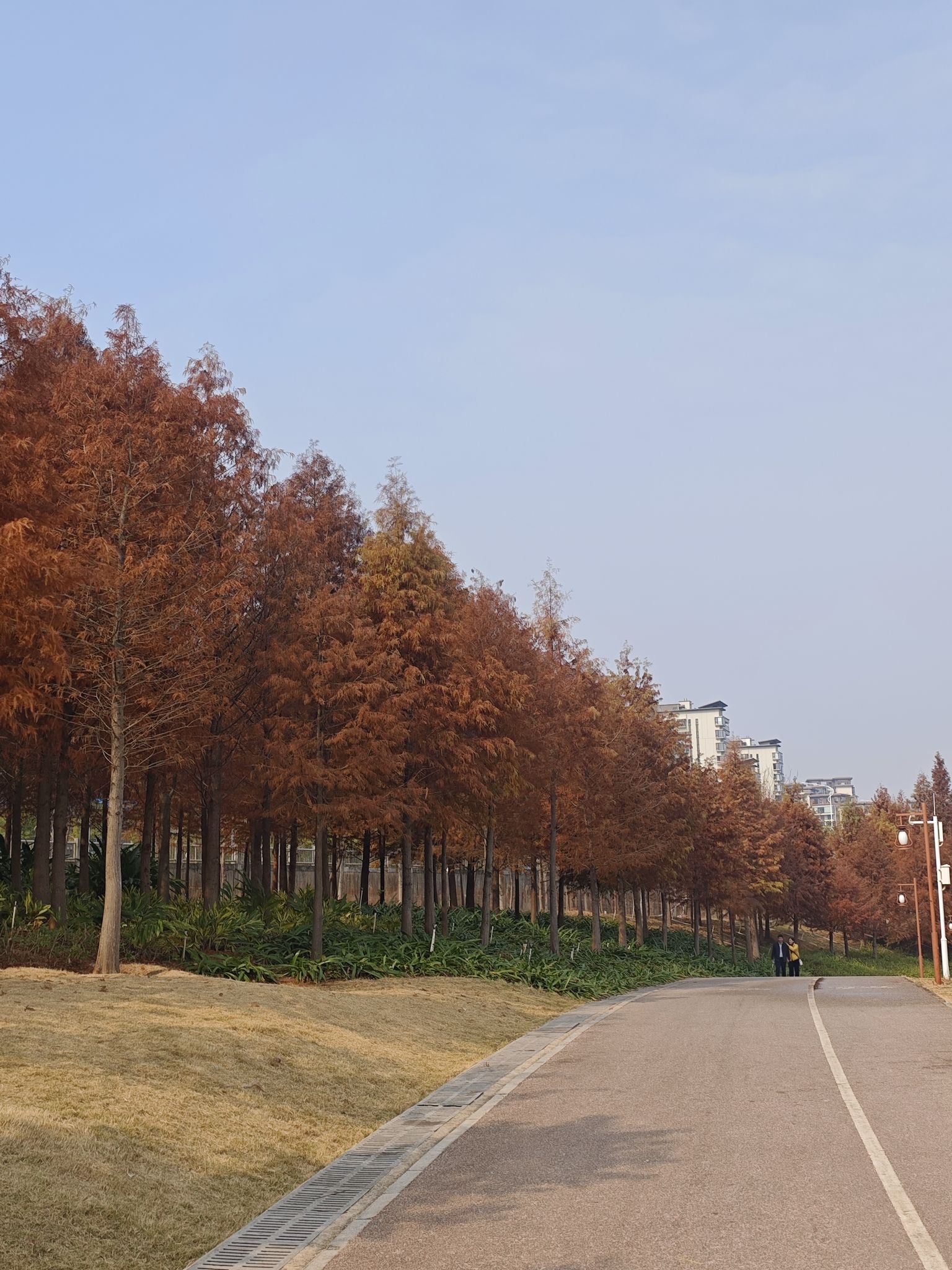 南宁市灵龟山景区旅行图片 1
