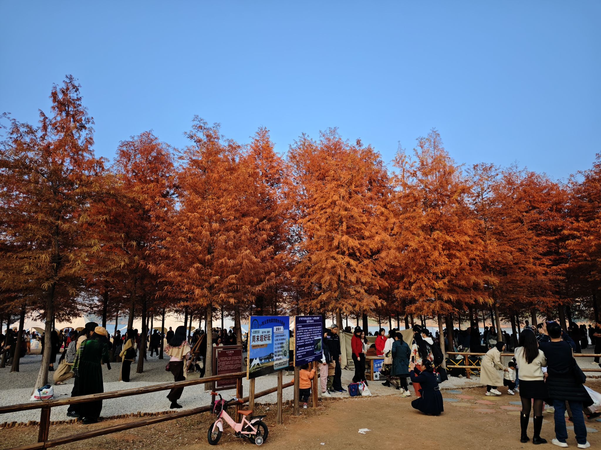 南宁市灵龟山景区旅行图片 3