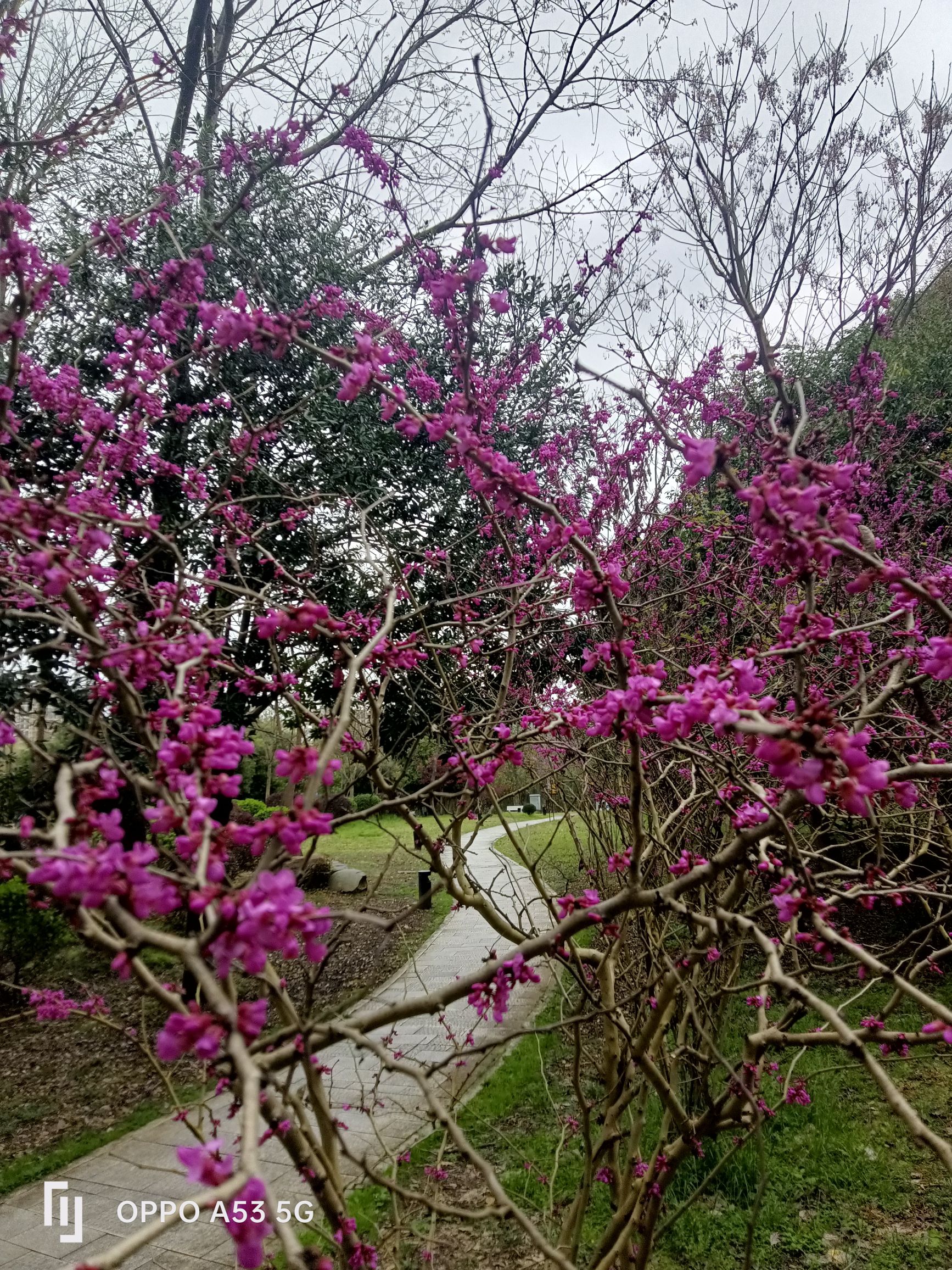 中心公园旅行图片 1