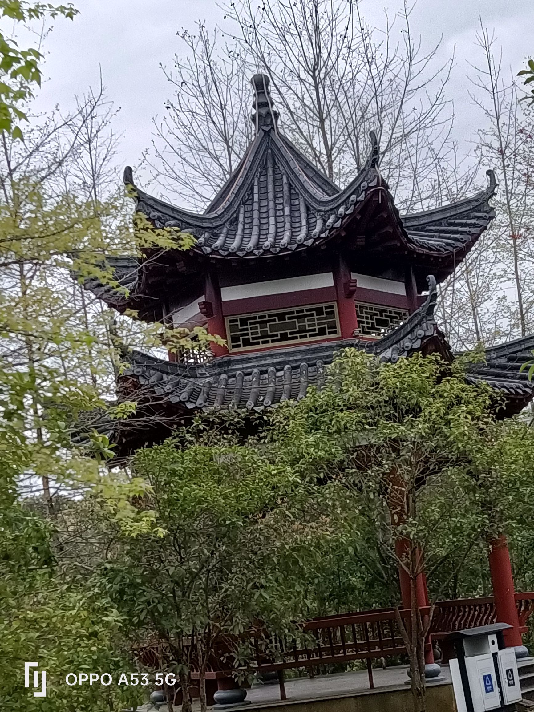 中心公园旅行图片 3