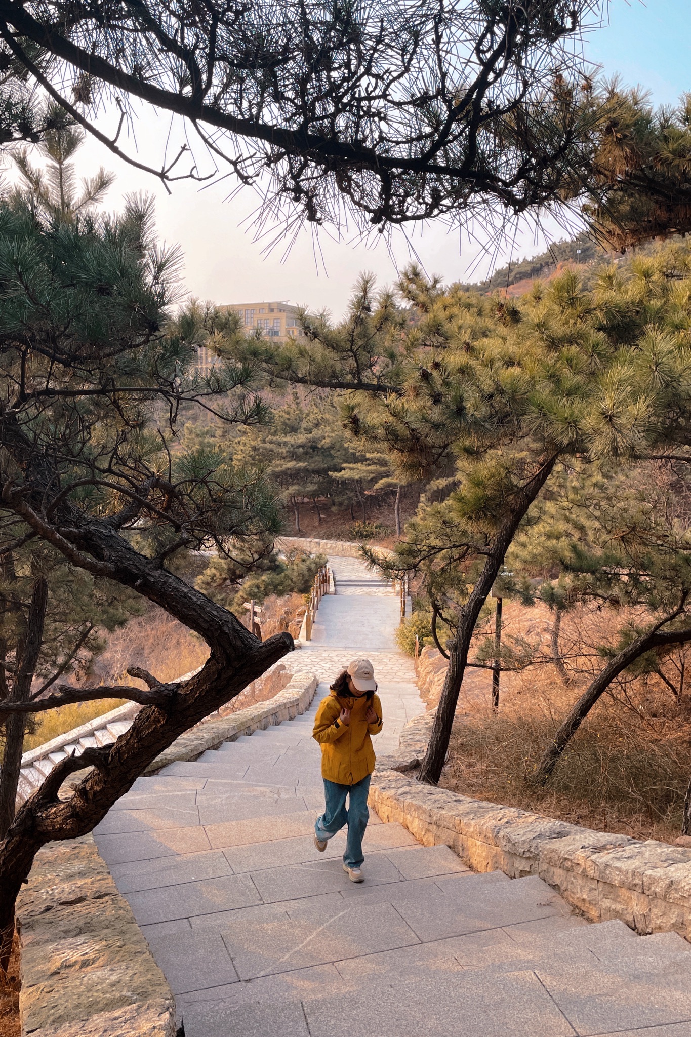 老虎山公园旅行图片 1