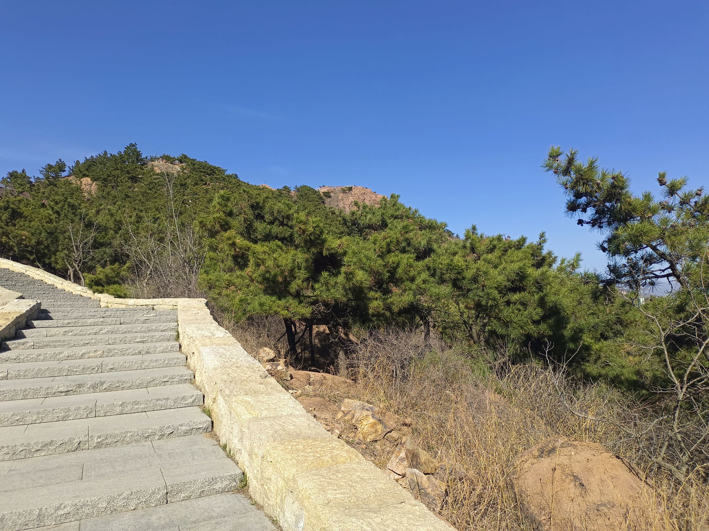 老虎山公园旅行图片 1