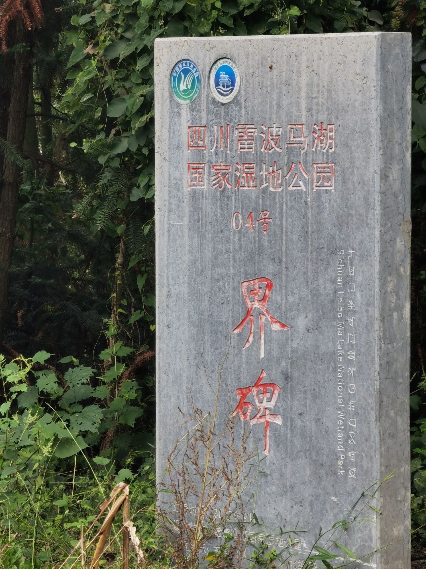 马湖观景台旅行图片 1