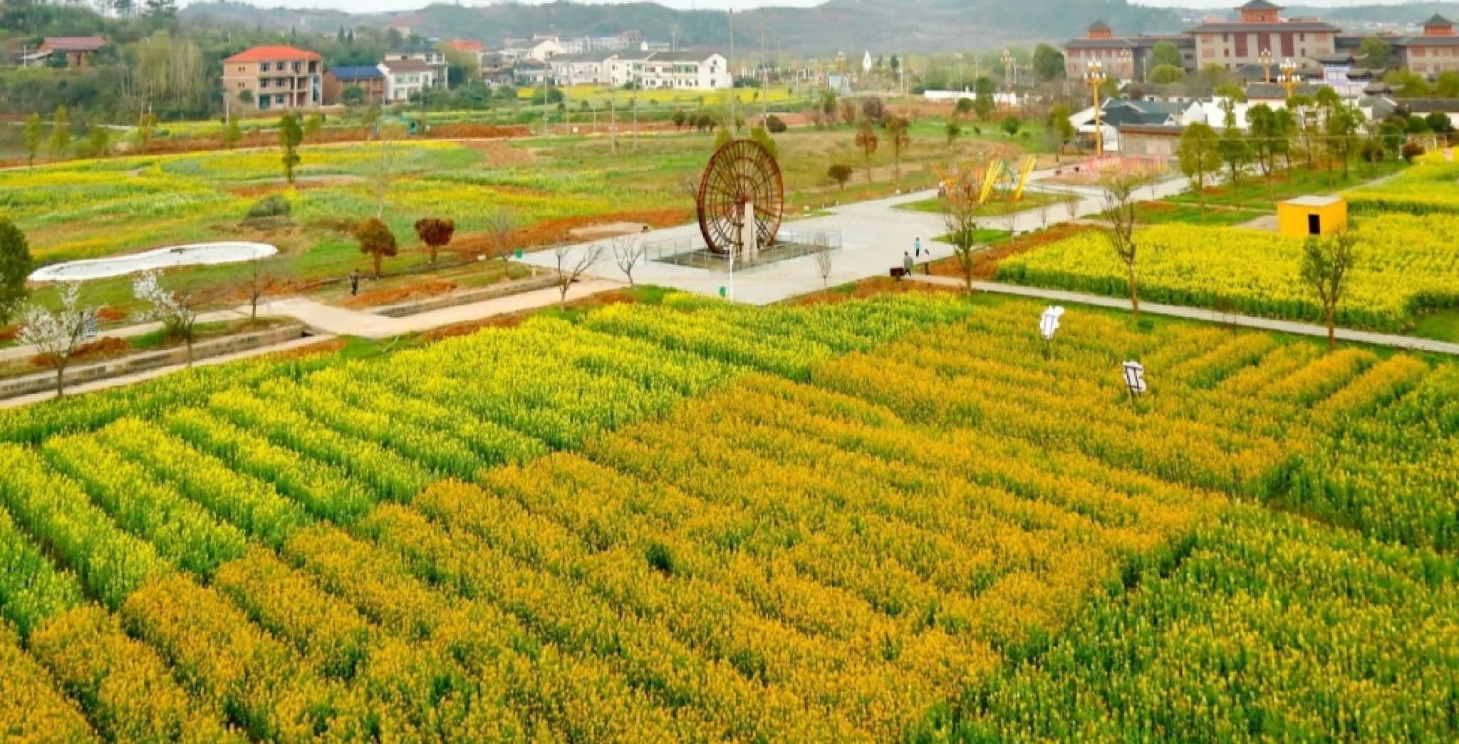 湖南衡山萱洲国家湿地公园旅行图片 1