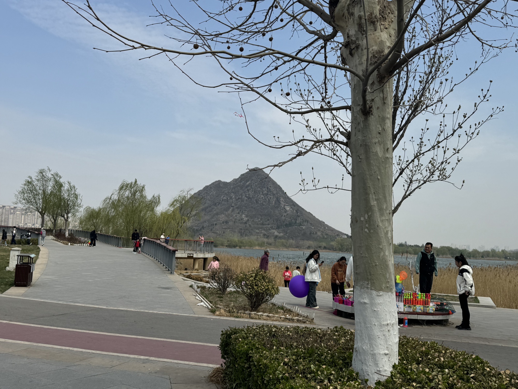 湖南衡山萱洲国家湿地公园旅行图片 2