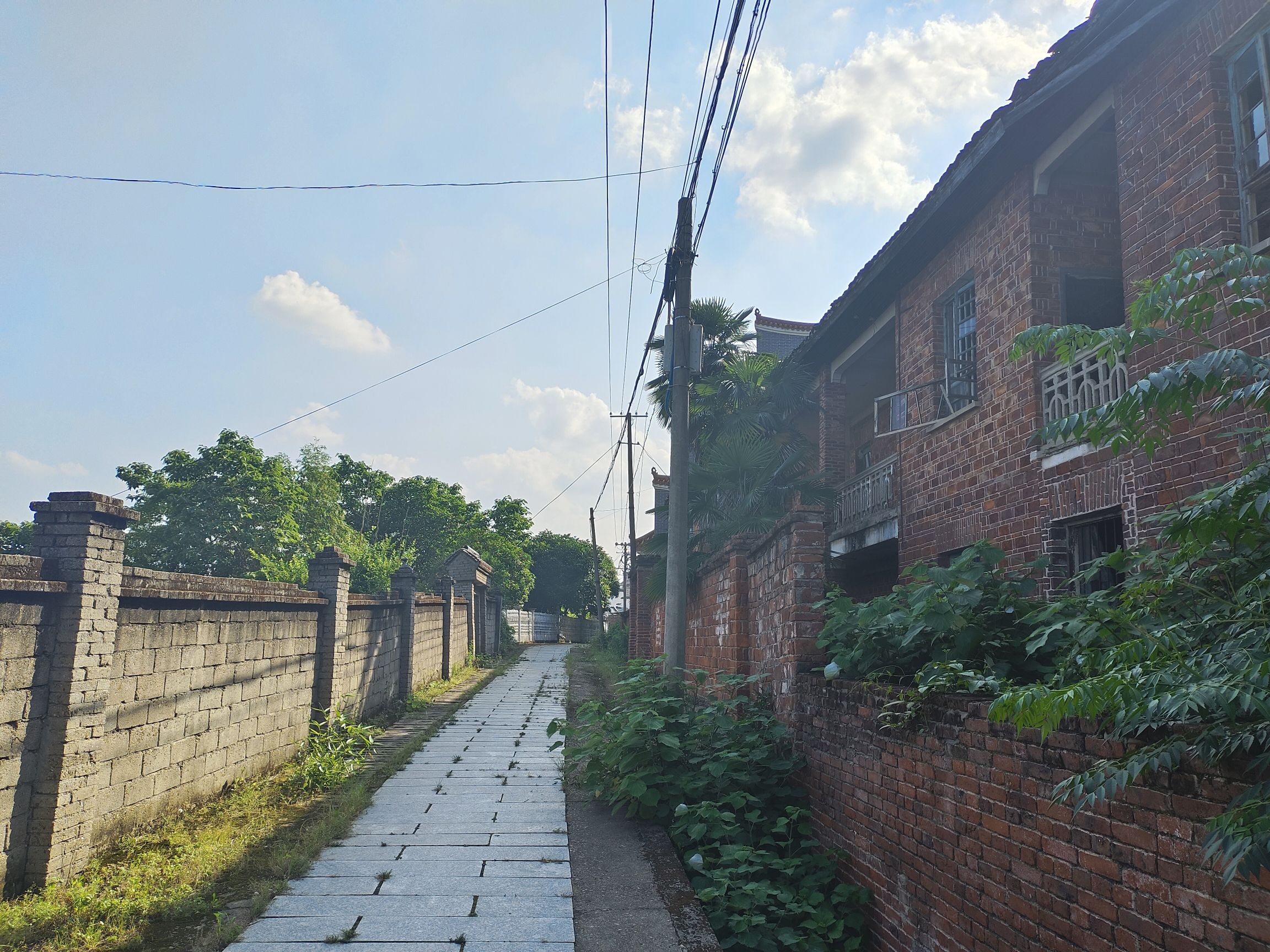 湖南衡山萱洲国家湿地公园旅行图片 3
