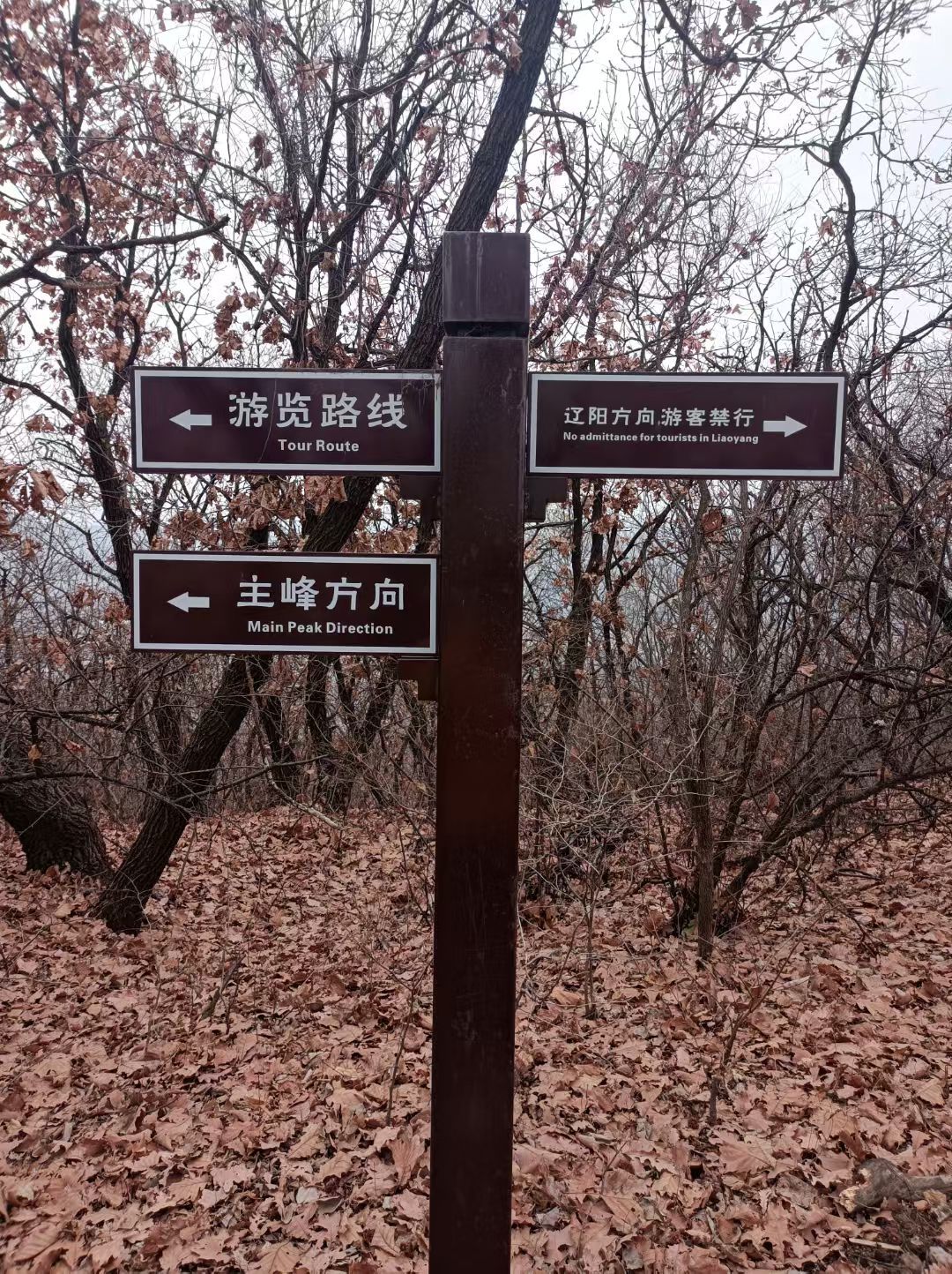 柳河子仙人山风景区旅行图片 2
