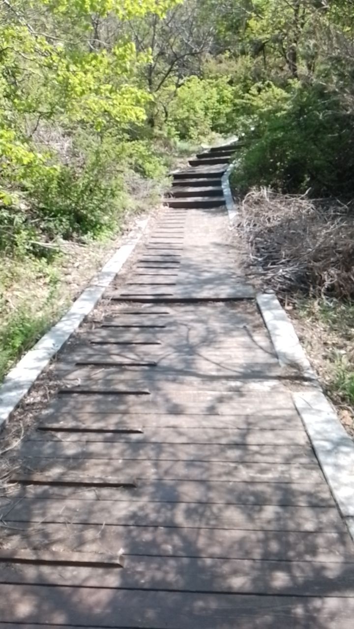 柳河子仙人山风景区旅行图片 1