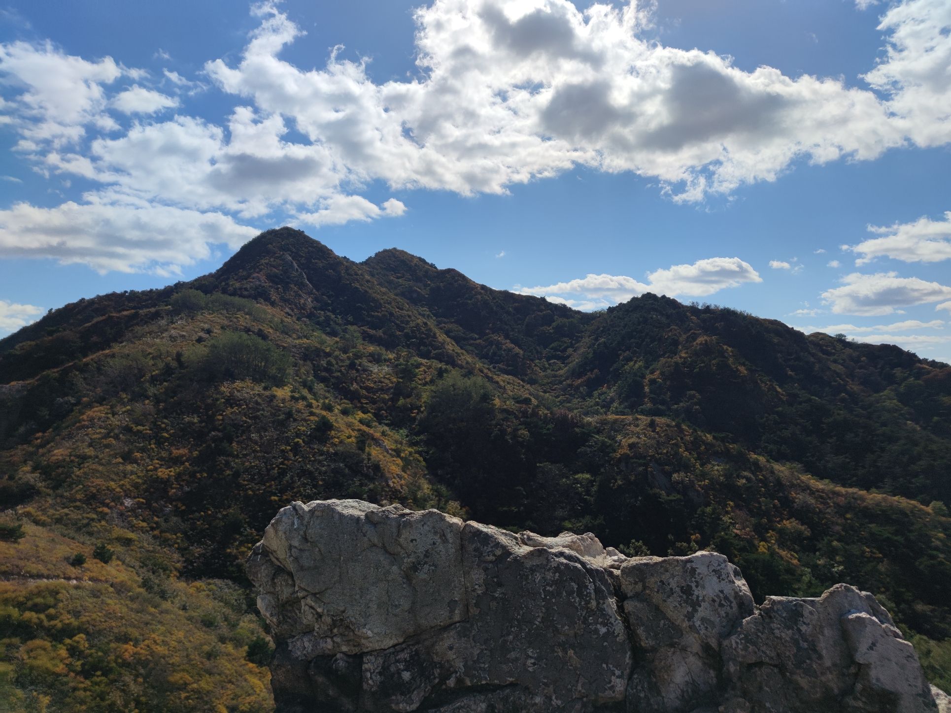 朱雀山森林公园旅行图片 3