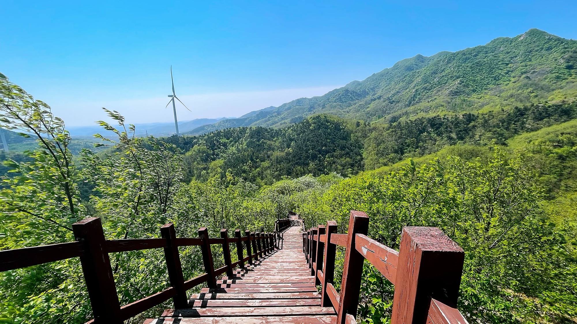朱雀山森林公园旅行图片 2