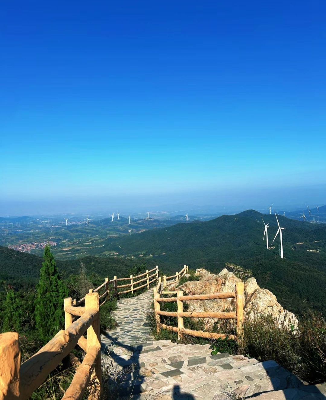 朱雀山森林公园旅行图片 2