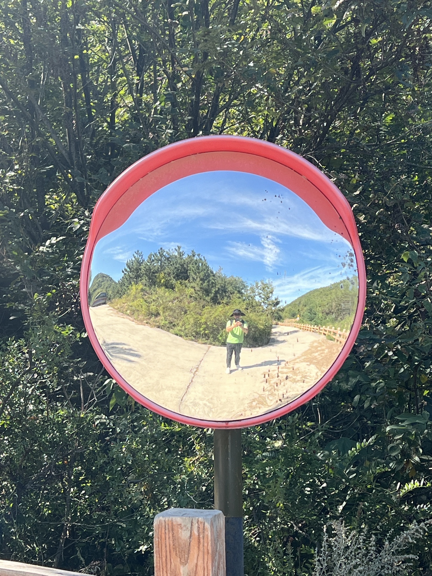 朱雀山森林公园旅行图片 1