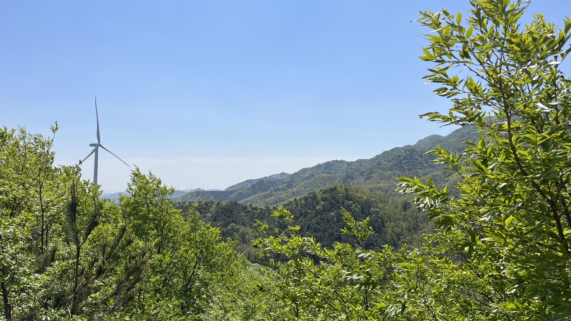 朱雀山森林公园旅行图片 3