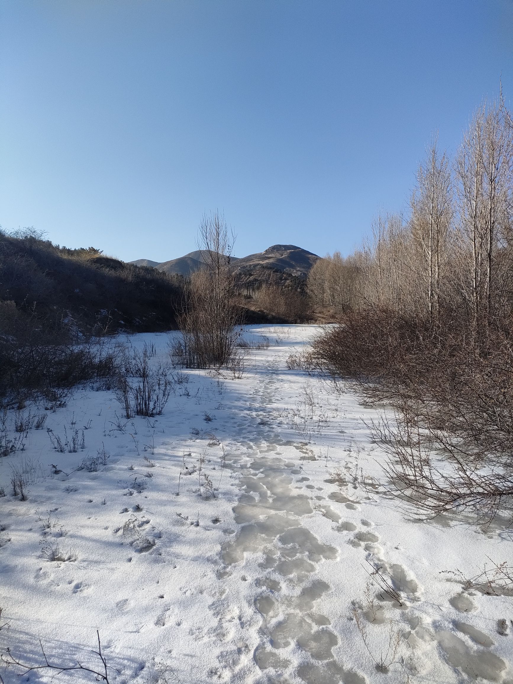 五万亩森林公园旅行图片 3