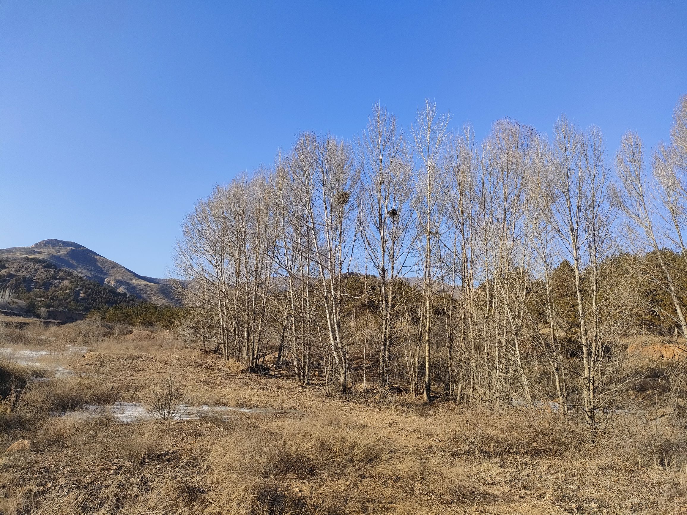 五万亩森林公园旅行图片 1