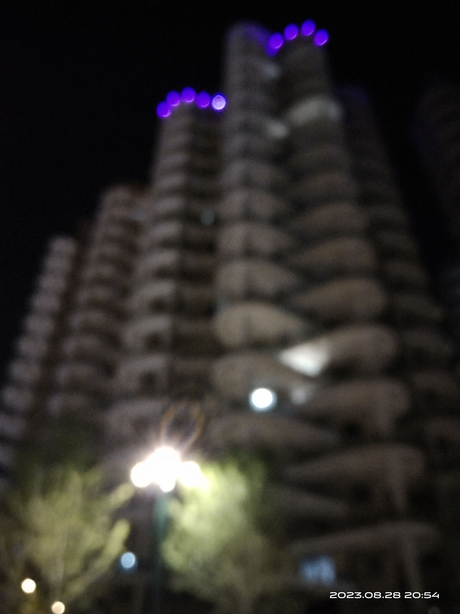 屏山县马湖公园旅行图片 1