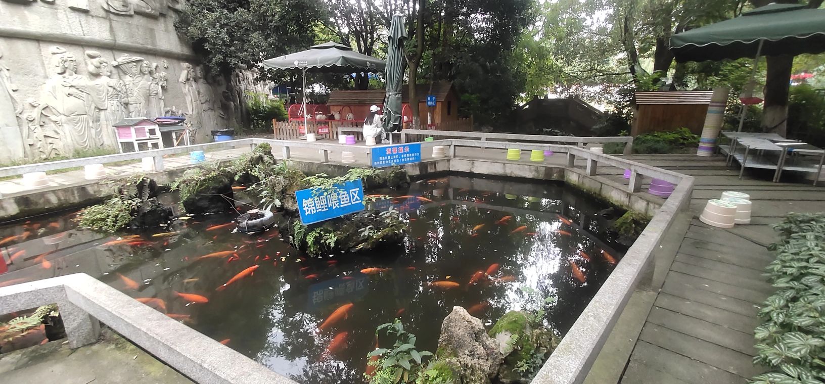 湖美文化公园旅行图片 3
